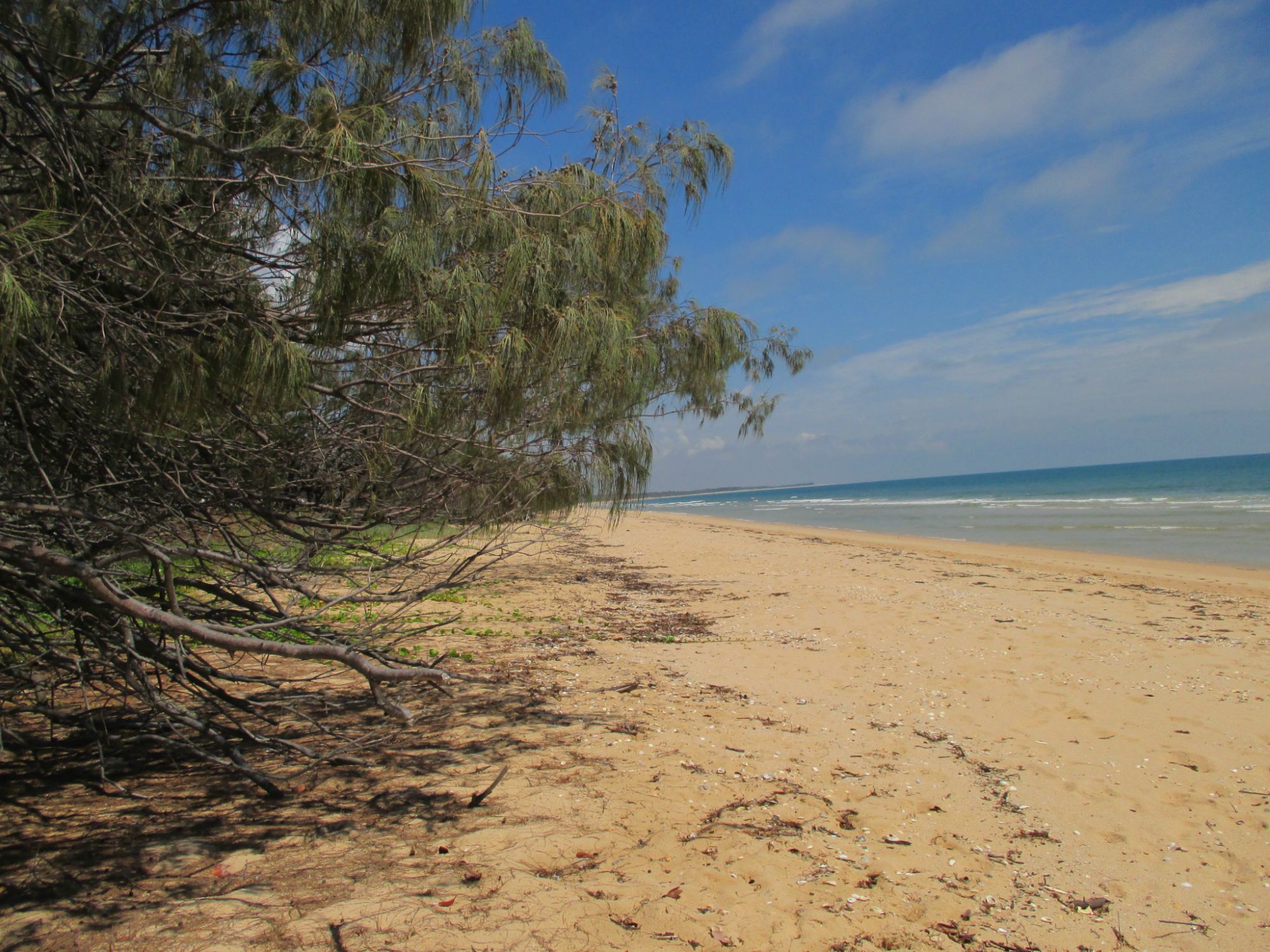 A1 Realty Woodgate Beach Best Holiday LISTEN TO THE
