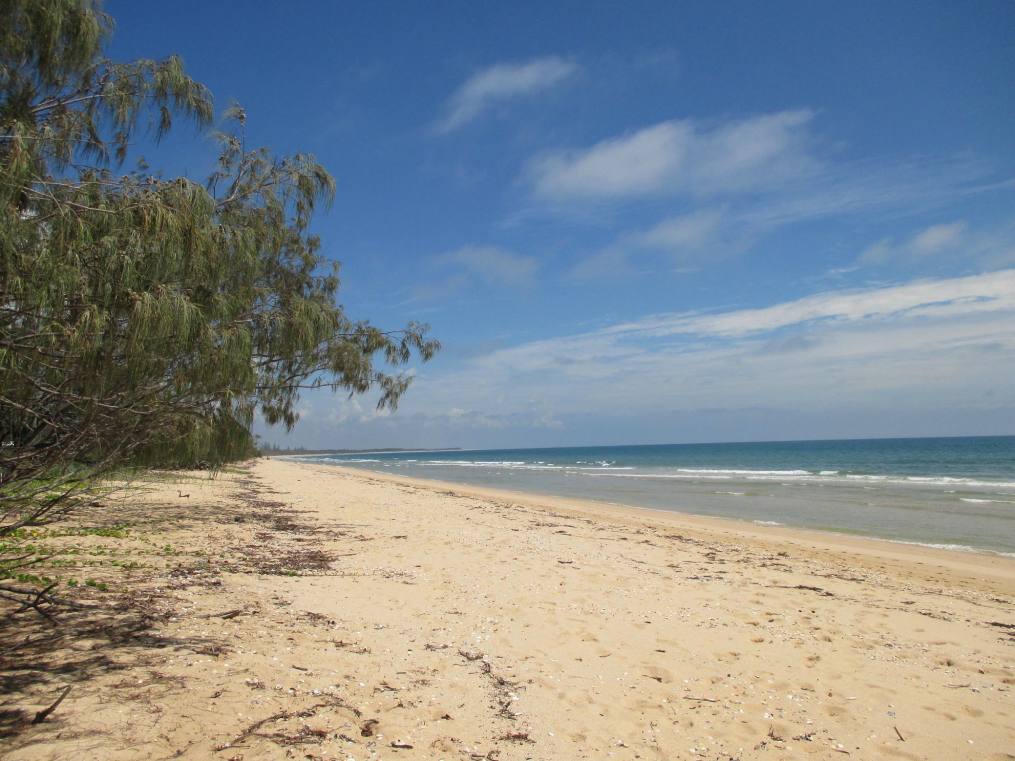 A1 Realty Woodgate Beach Best Holiday SEA SIDE VACANT