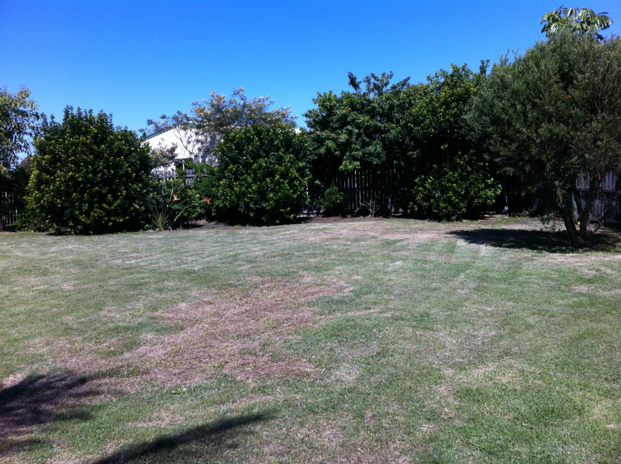 Bargara Real Estate Walk To Rifle Range Beach