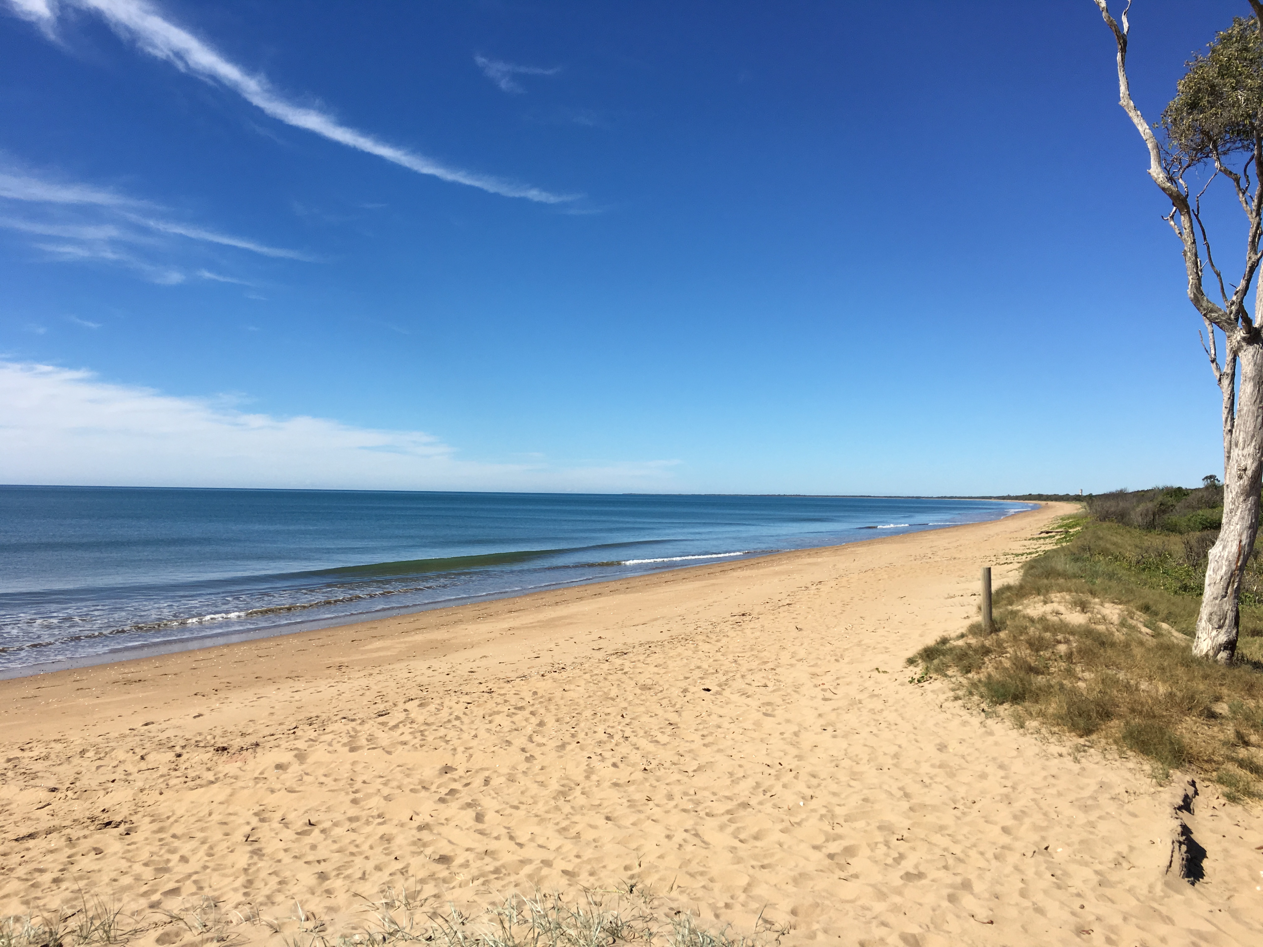 Beachside Moore Park Real Estate The Largest Beachfront Block!