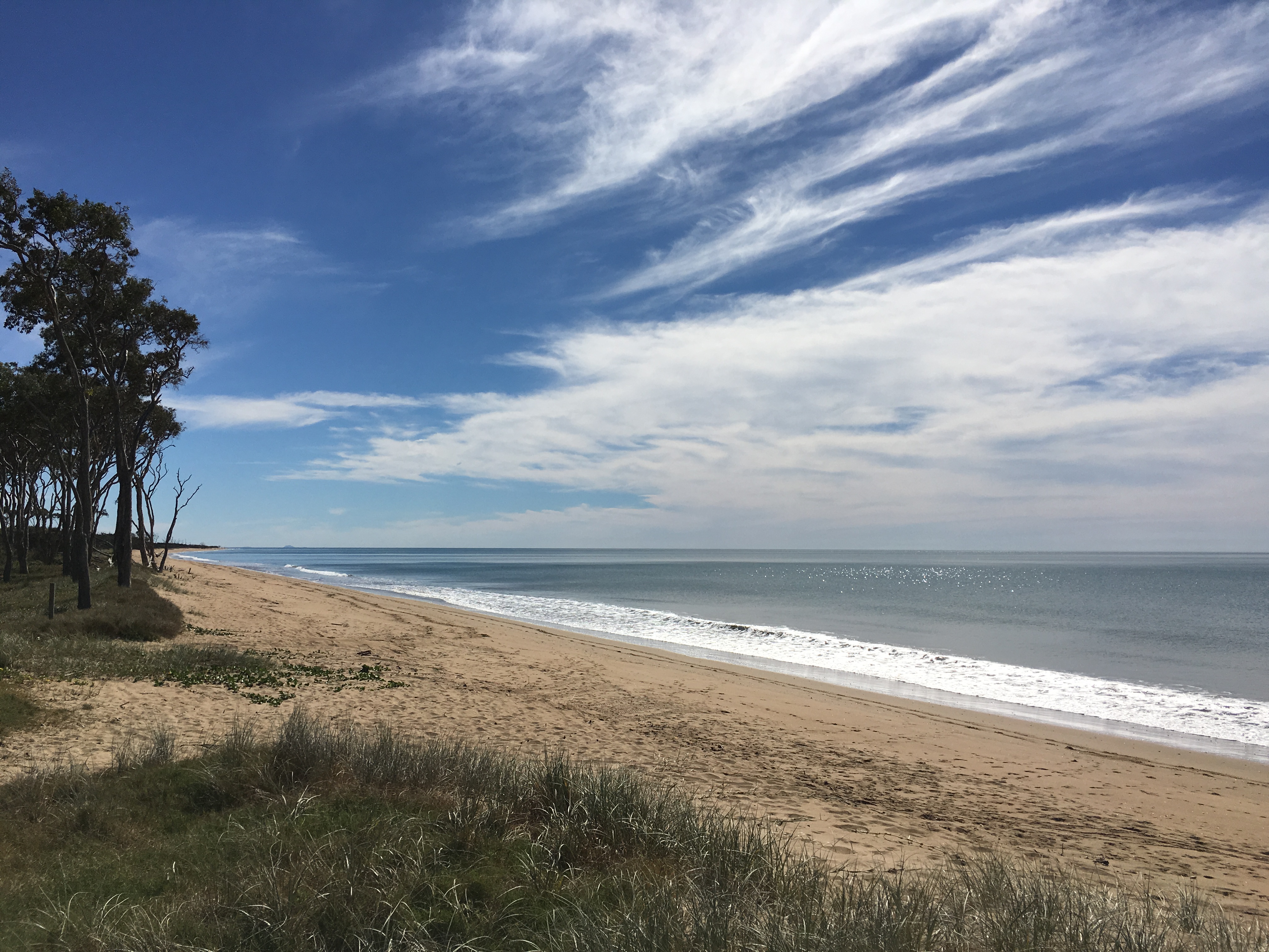 Beachside Moore Park Real Estate Potential Here!