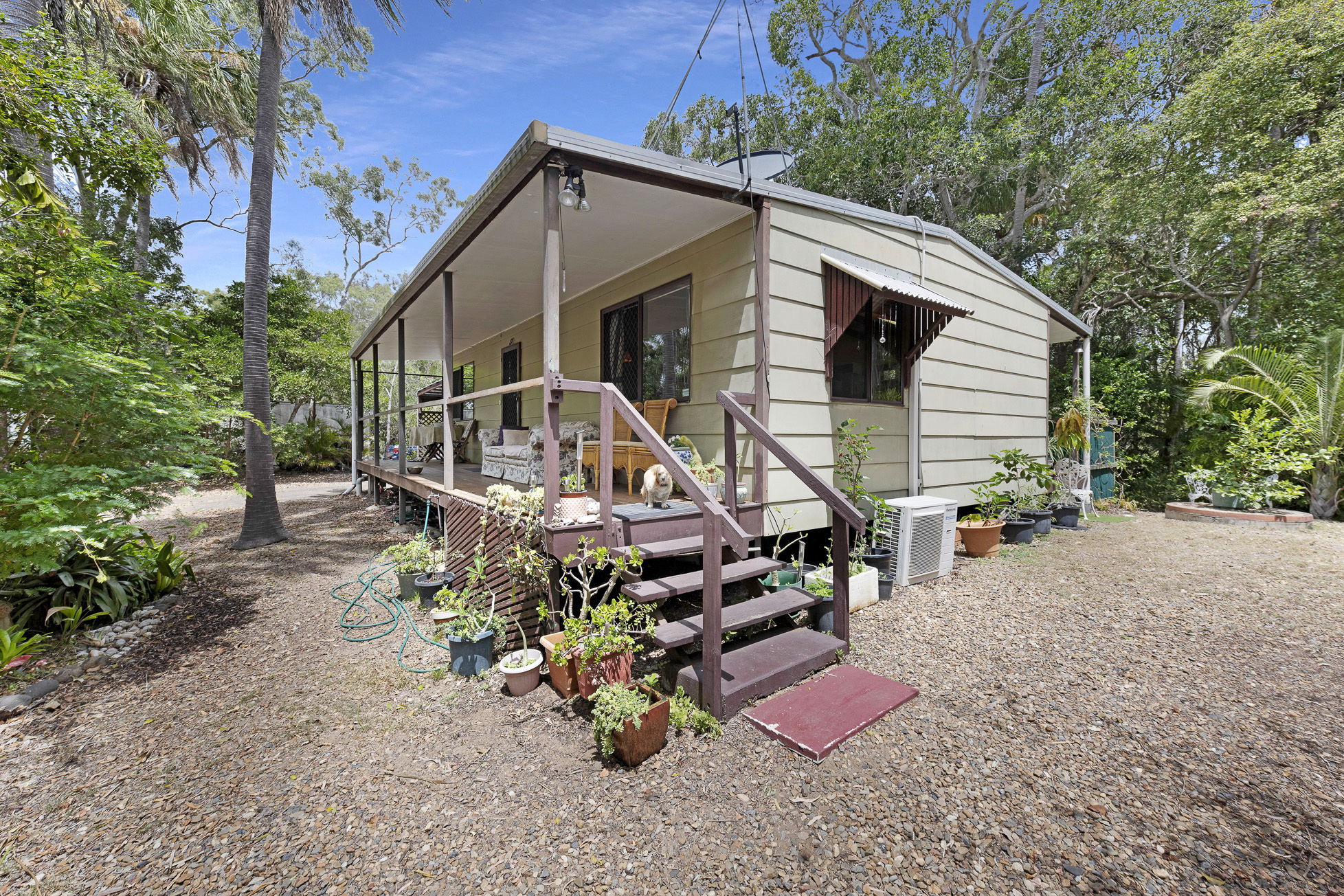 Beachside Moore Park Real Estate Cottage in the Rainforest!