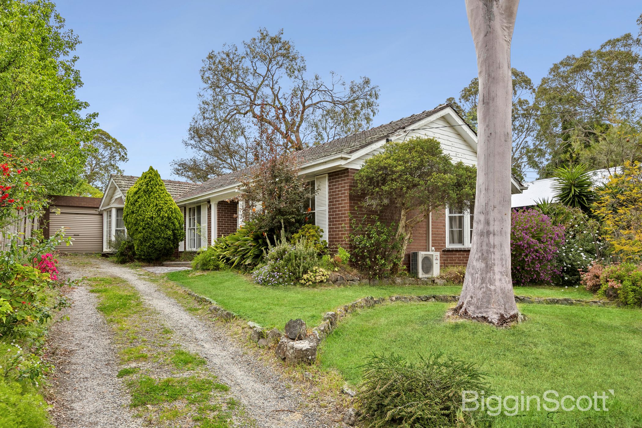 Live on the High Side BigginScott