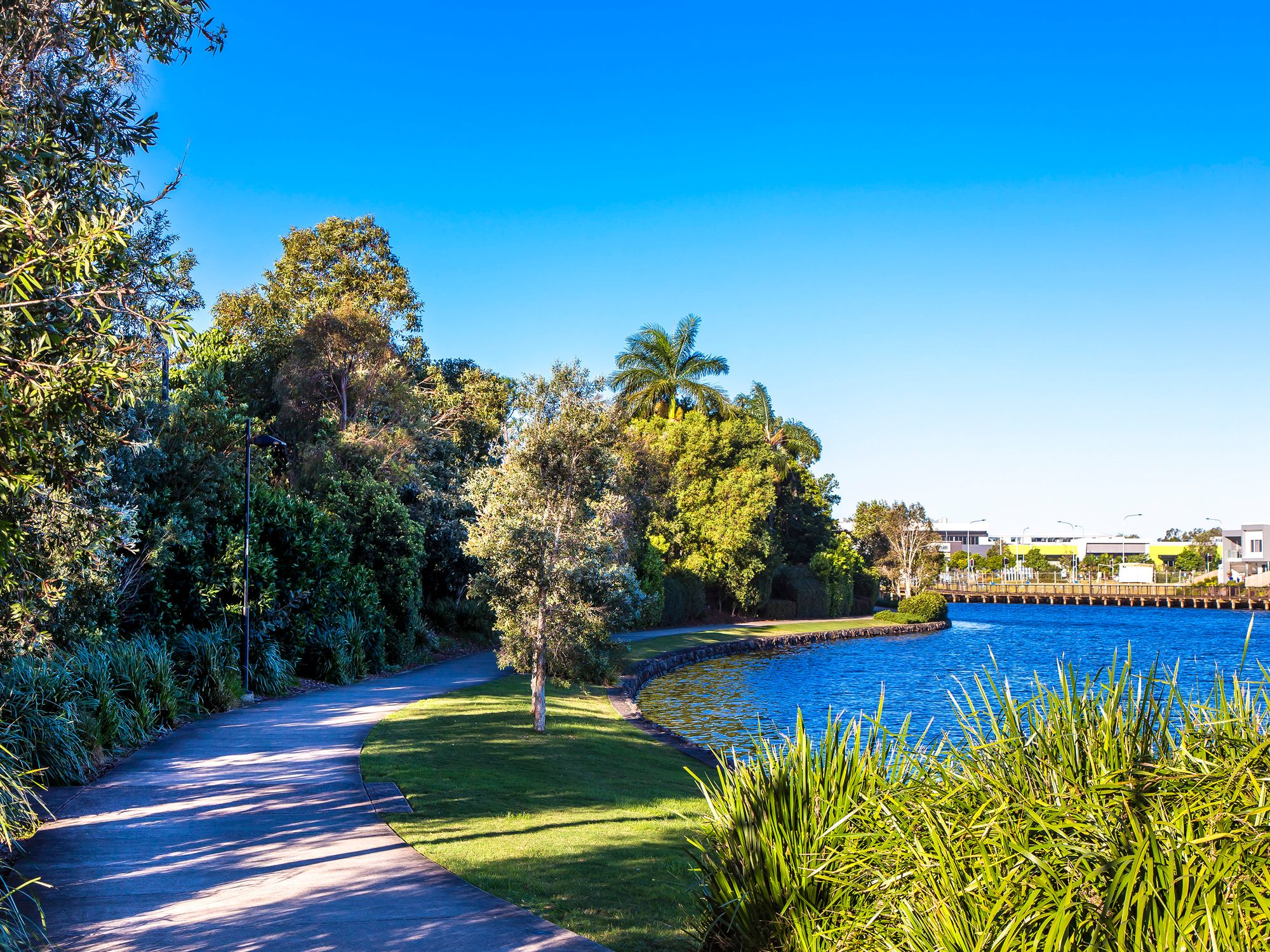 17, 23 Blackwood Street, Maroochydore QLD
