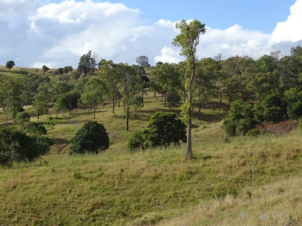 Undulating and Elevated Grazing Land Boonah Real Estate