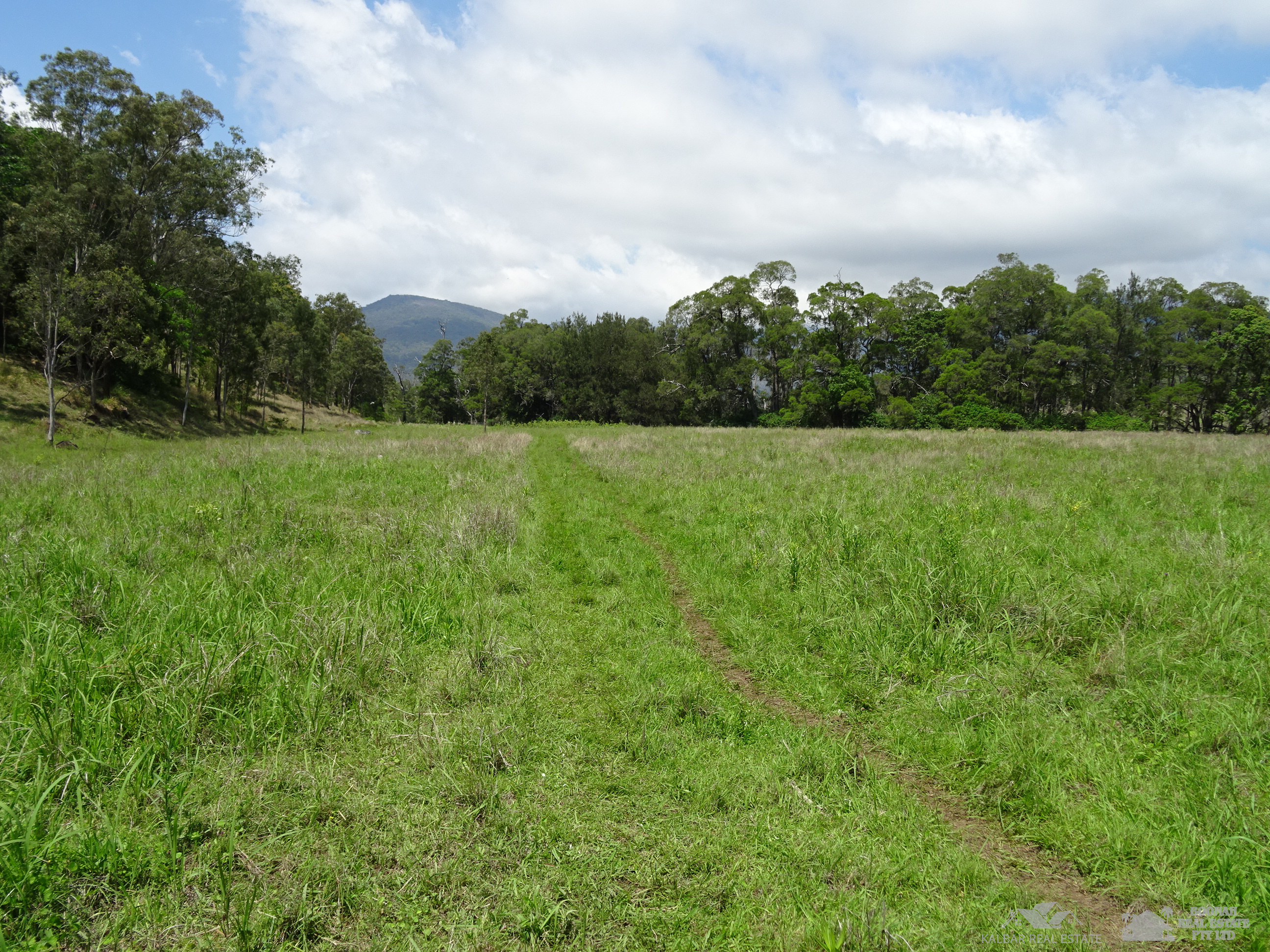 Quality Forest Grazing Land Boonah Real Estate