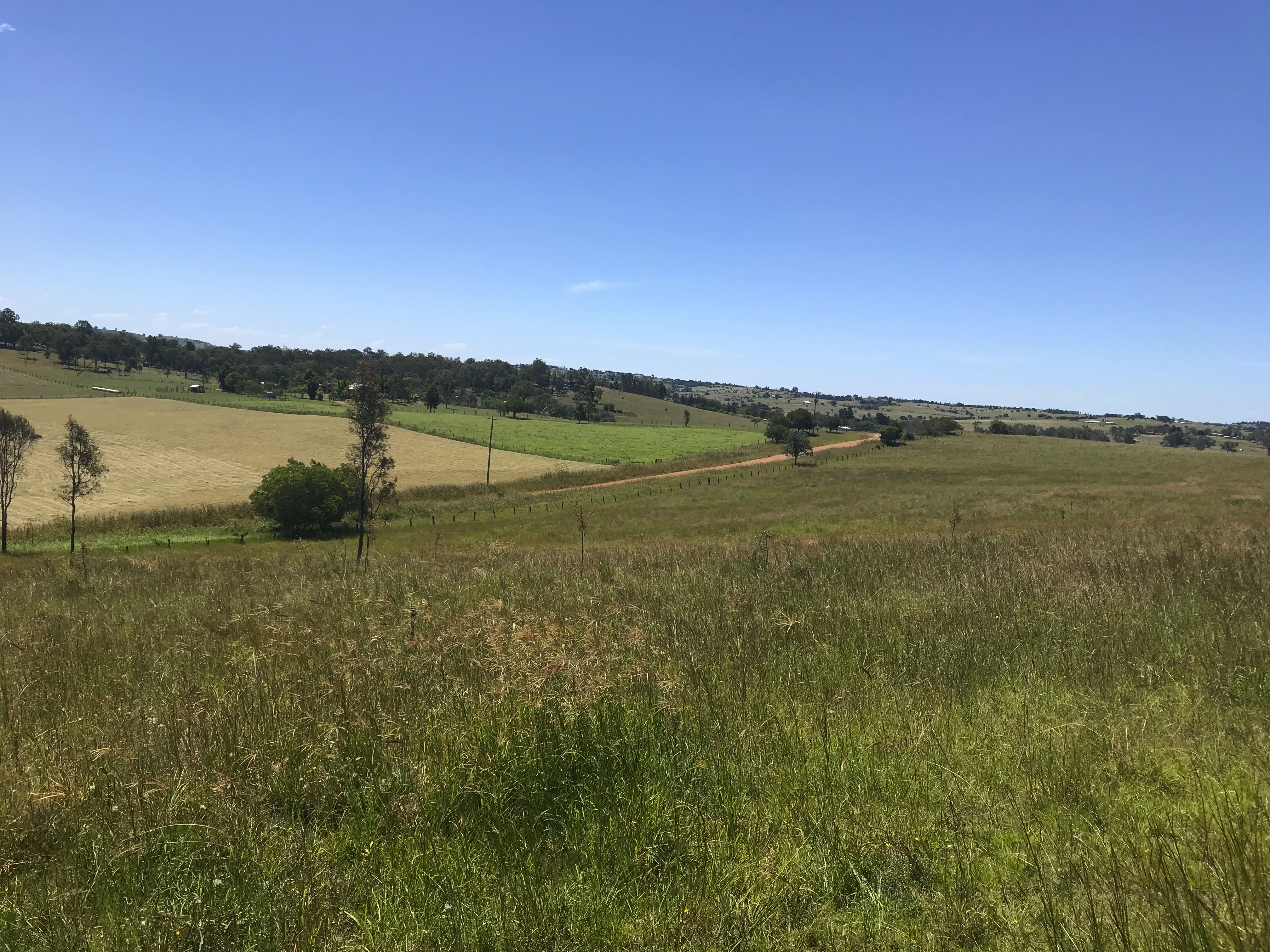 Rural Grazing Land close to Boonah ! Boonah Real Estate