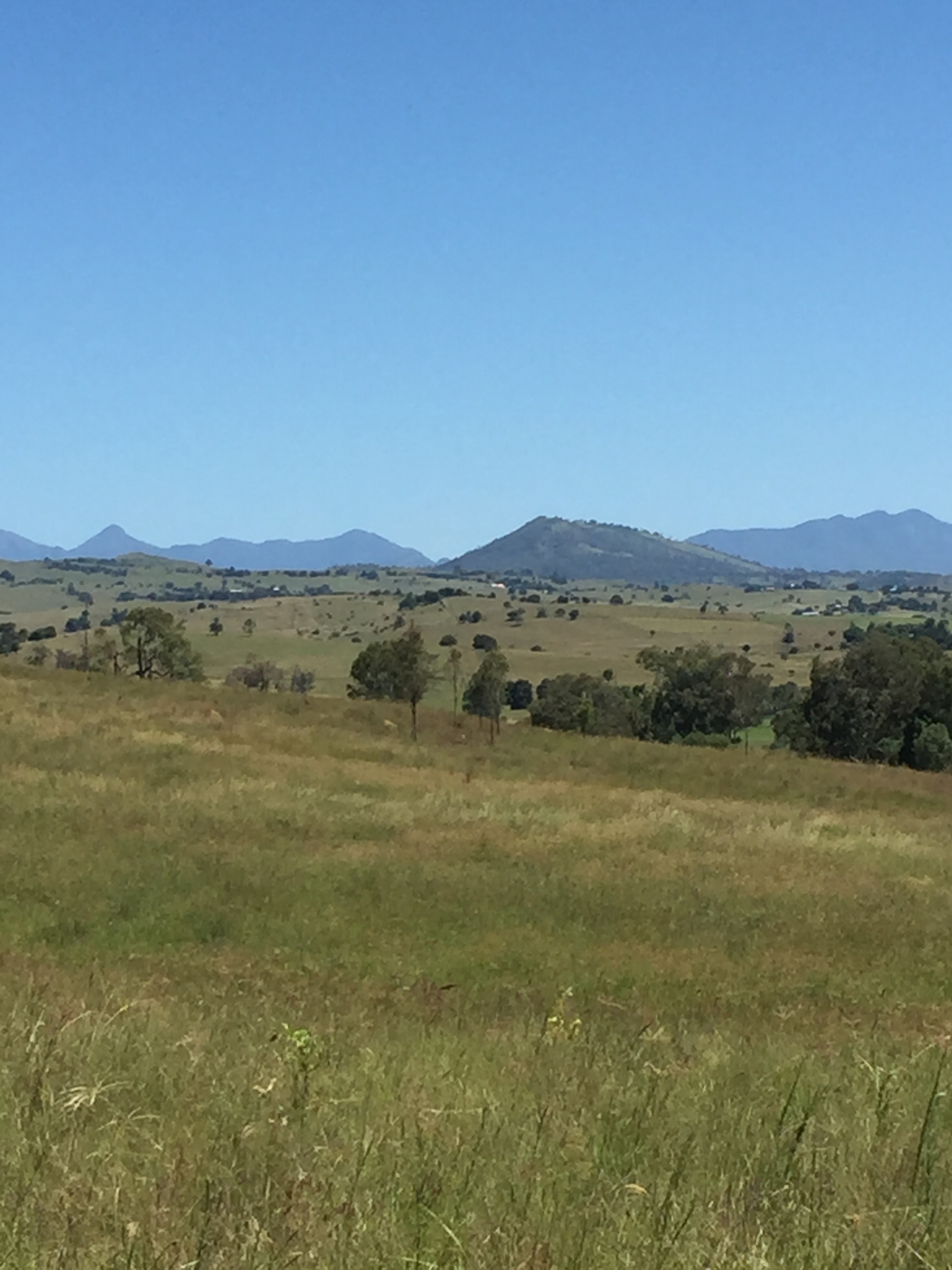 Rural Grazing Land close to Boonah ! Boonah Real Estate