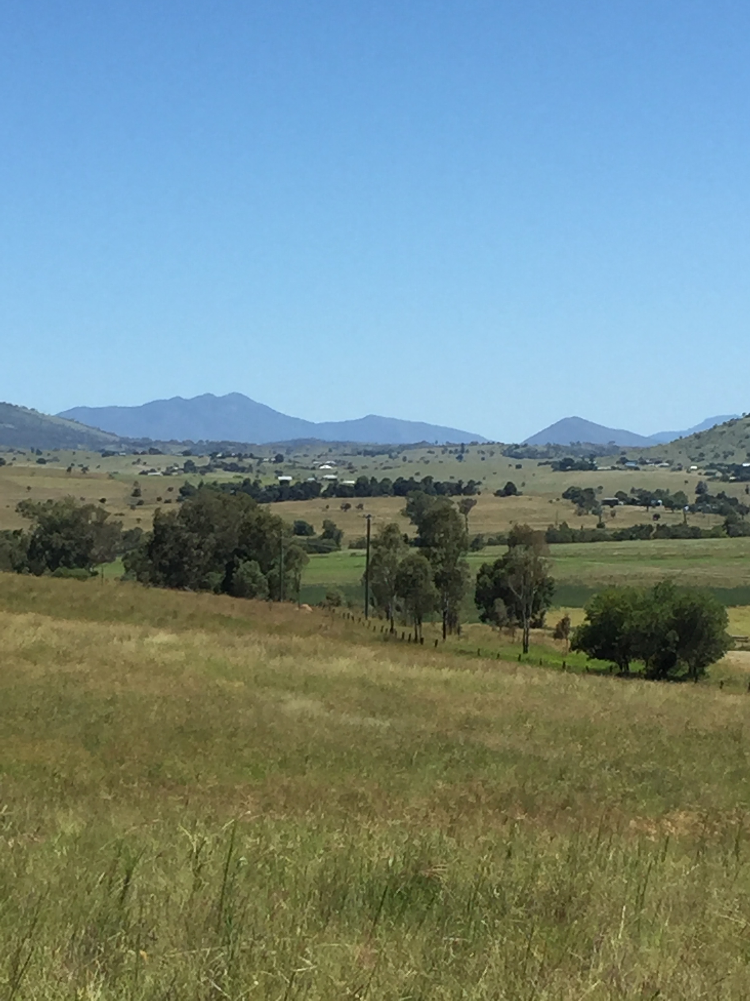 Rural Grazing Land close to Boonah ! Boonah Real Estate