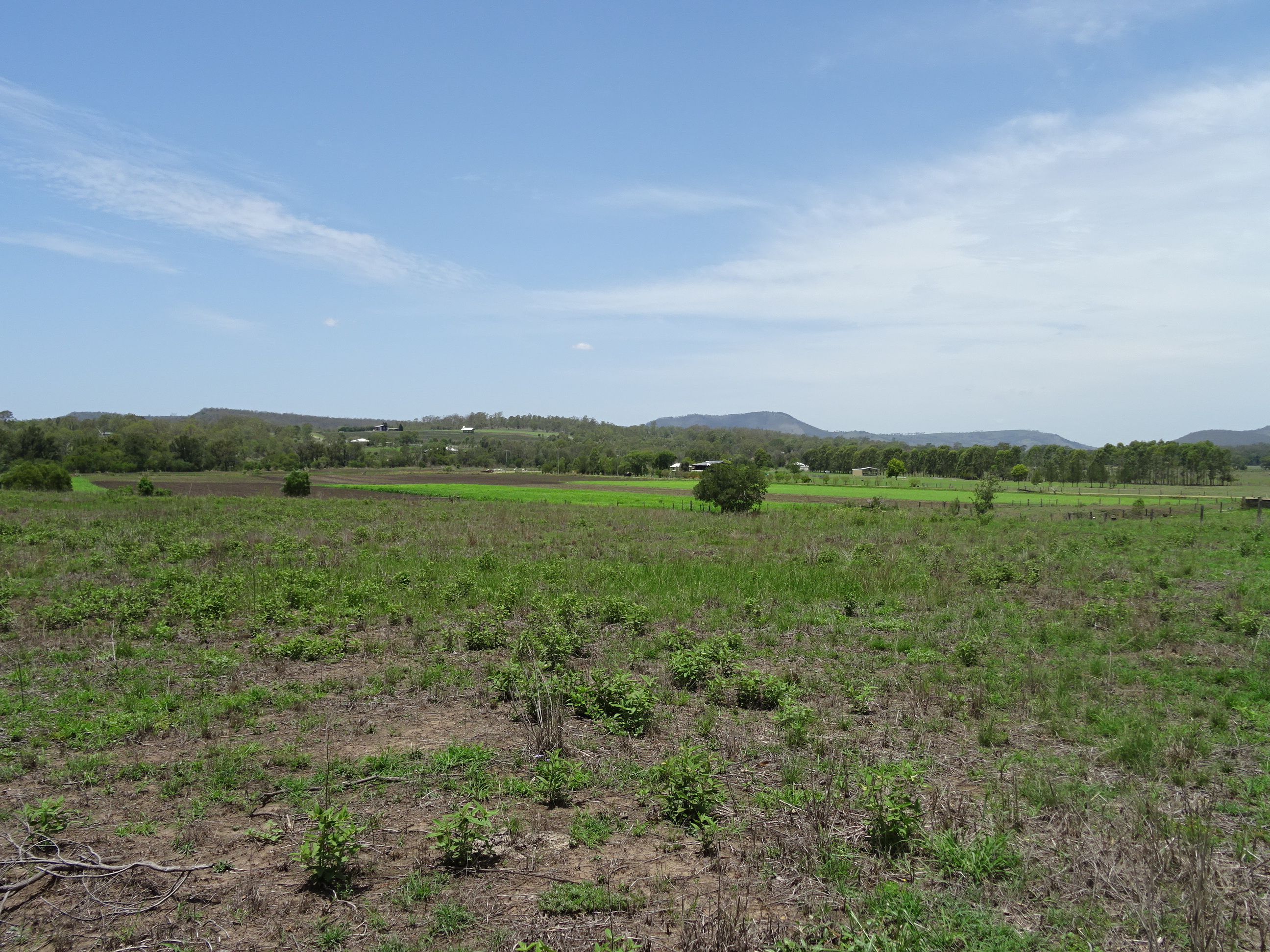 Move to the Country Lot 31 McLaughlin Street Mount Alford Boonah