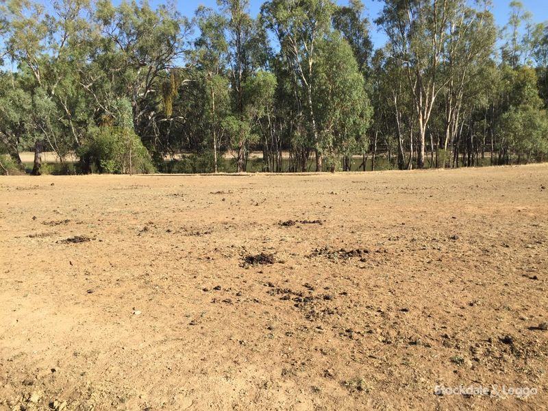 WAHGUNYAH Border Property Exchange