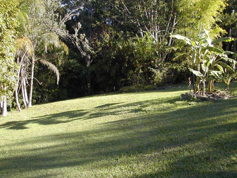 SOLD by Mike Burns of Elders Palmwoods My Haus Property Group