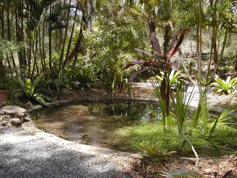 Marketed & Sold by Mike Burns of Elders Palmwoods My Haus Property Group