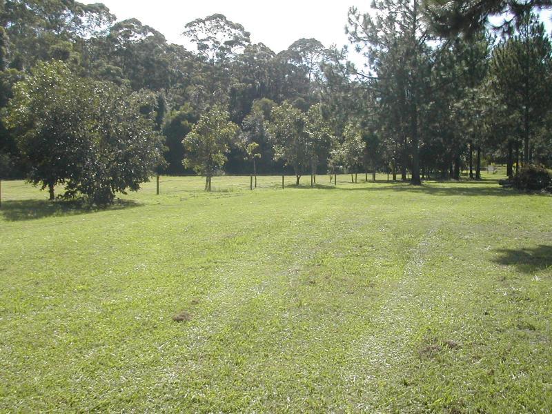 SOLD UNDER THE HAMMER By Mike Burns of Elders Palmwoods My Haus