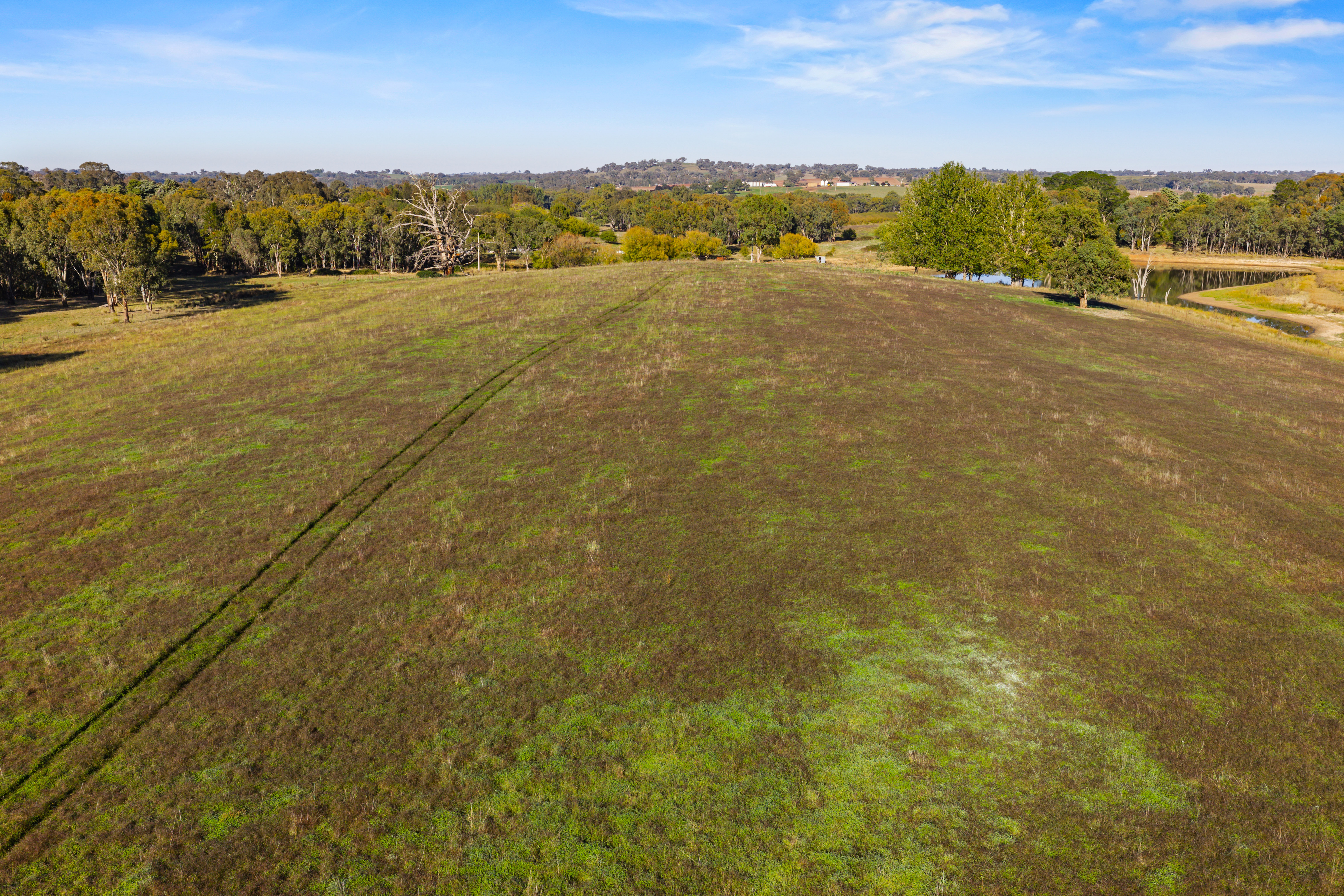 126 Woodlands Road, Wombat Auction by Farmbuy.com - image 33