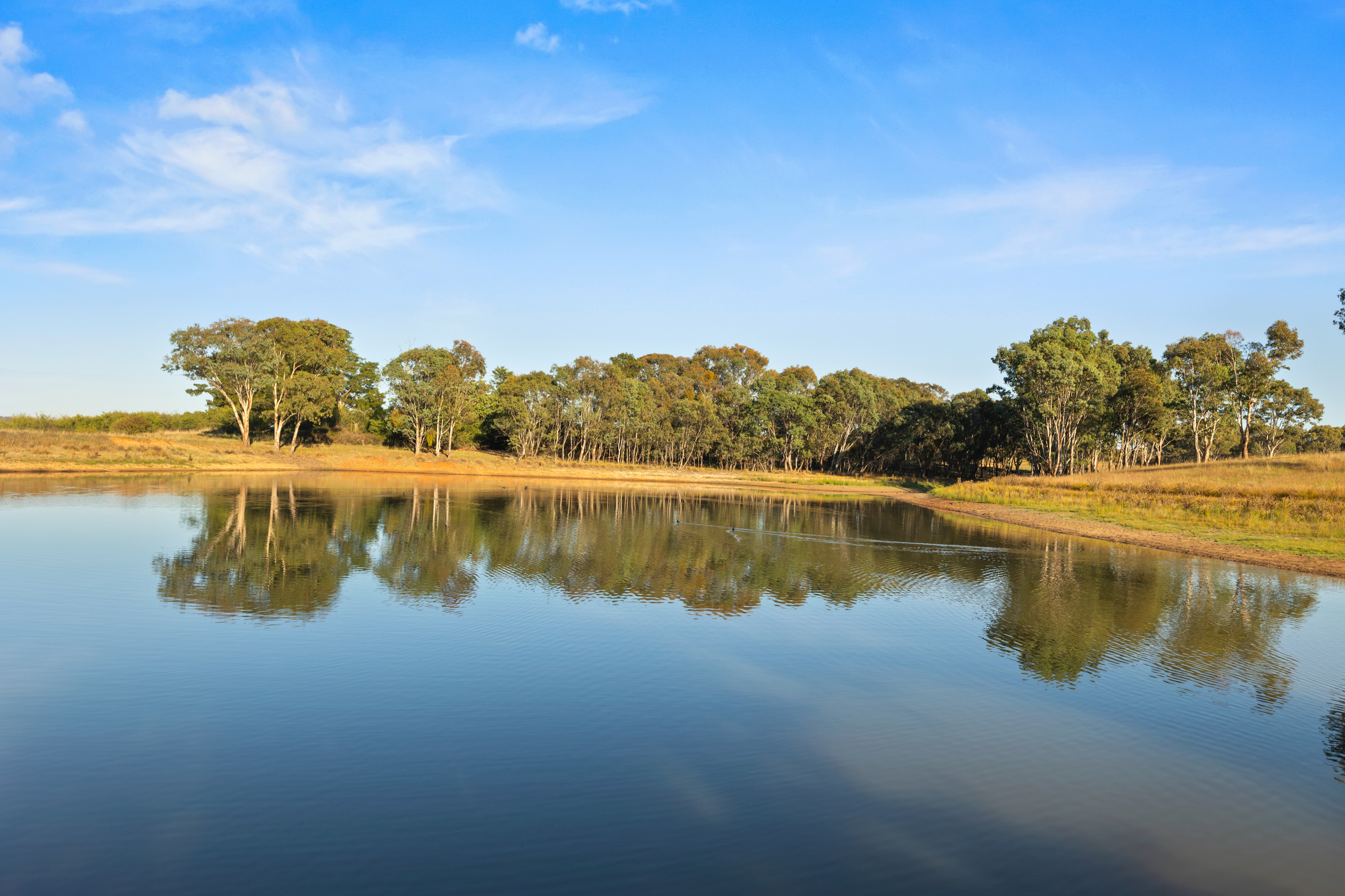 126 Woodlands Road, Wombat Auction by Farmbuy.com - image 35