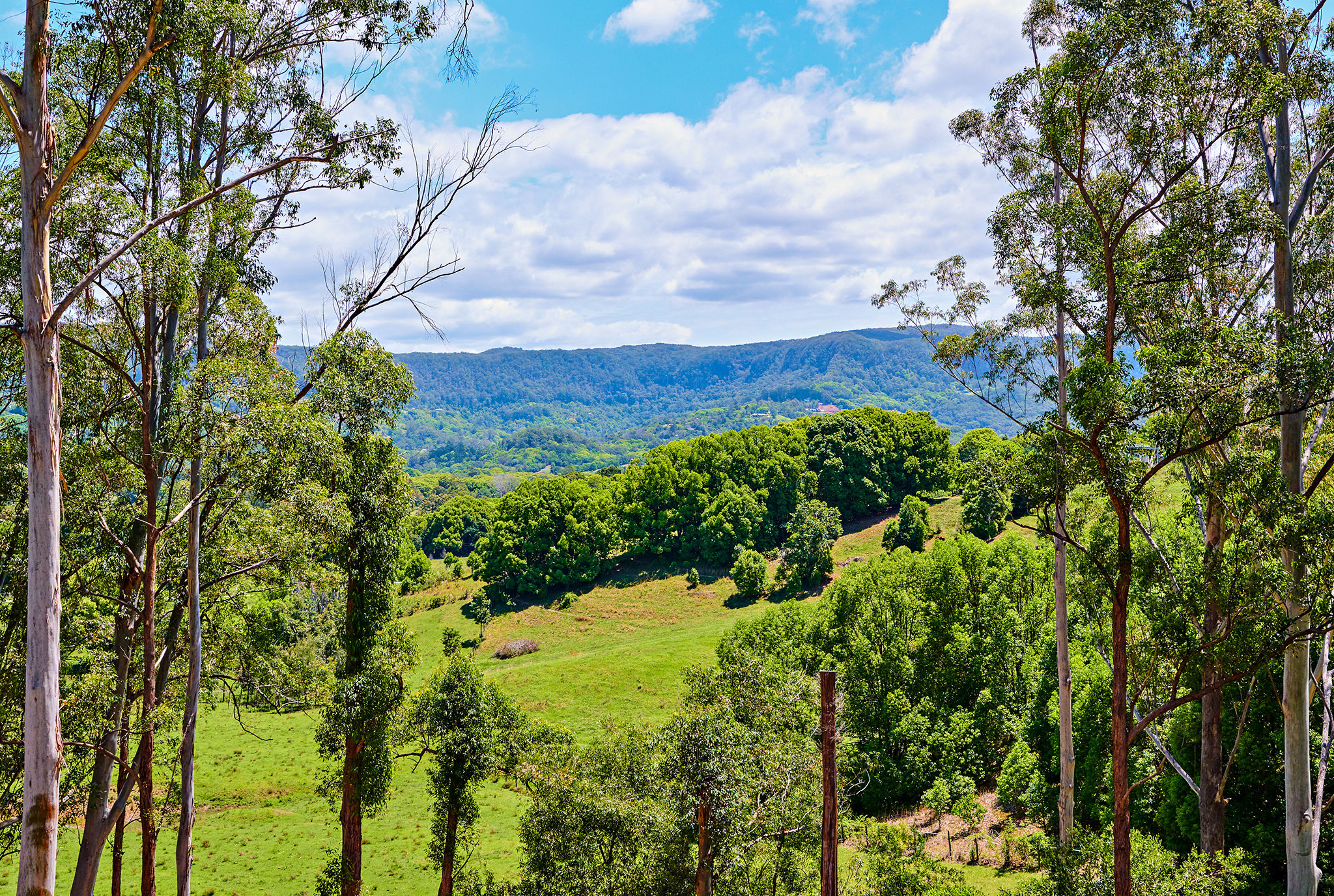 Byron Shire Real Estate 'Tristran Hideaway' 2.5 Acres on the edge