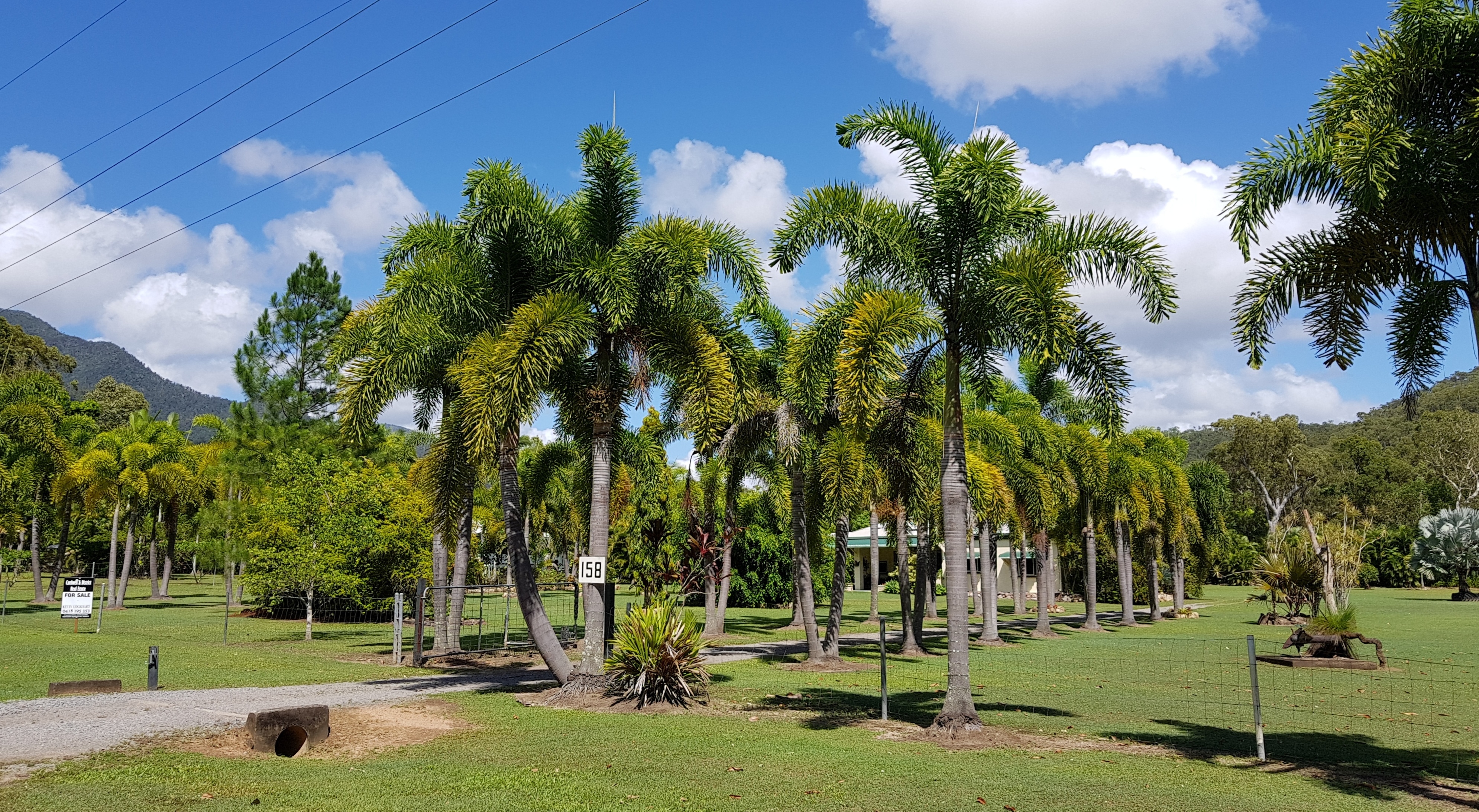 Cardwell & District Real Estate Rural retreat surrounded by lush tropical gardens & lawns with