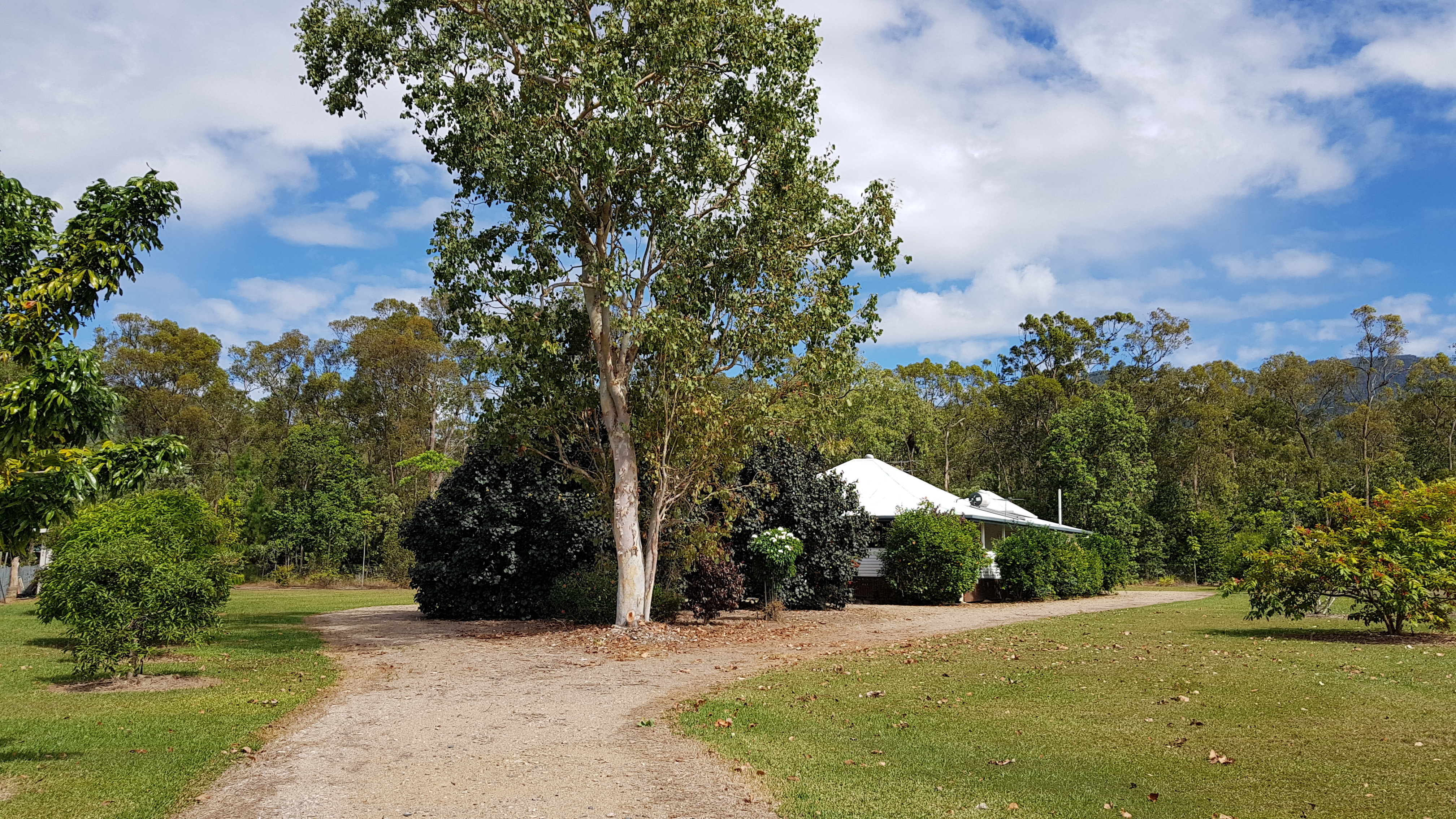 Cardwell & District Real Estate Beautiful 3 bedroom Queenslander on