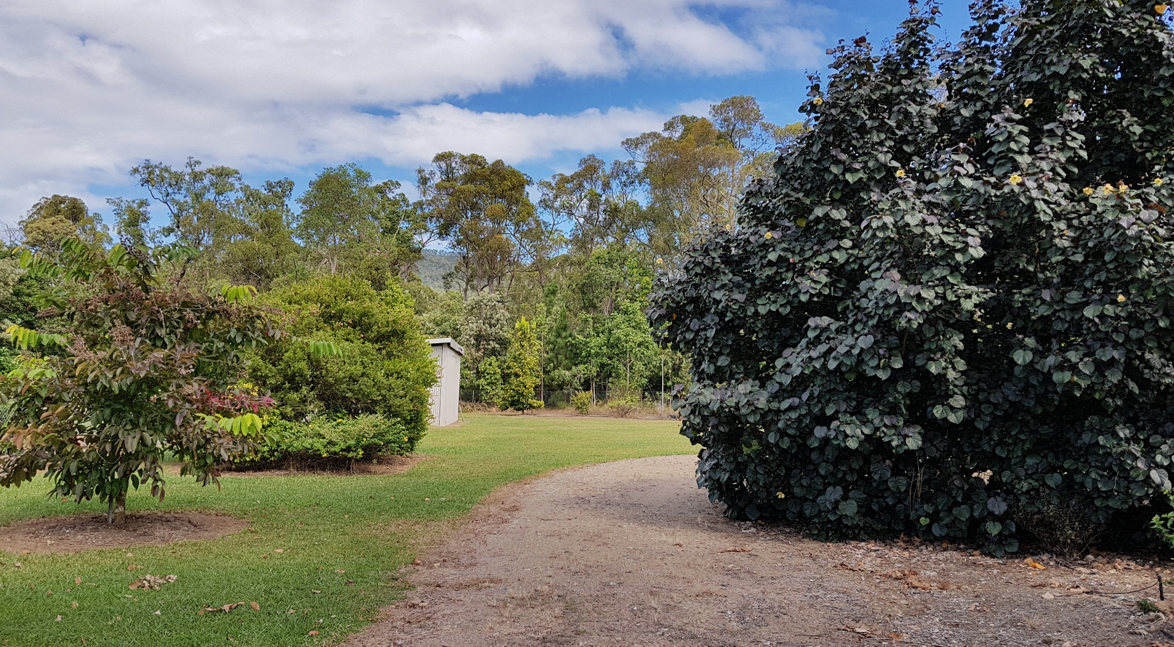 Cardwell & District Real Estate Beautiful 3 bedroom Queenslander on