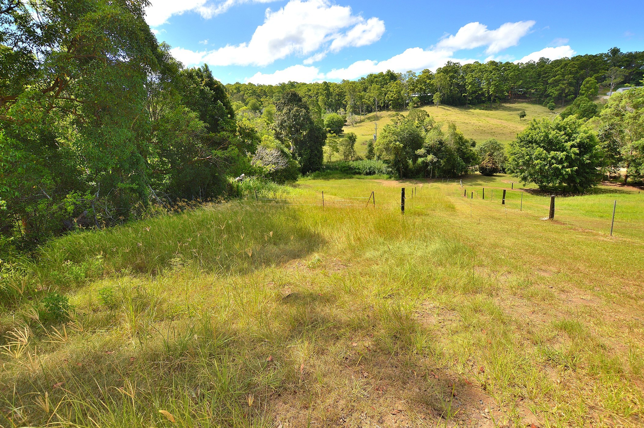 Craig Barnby Real Estate CREEK, RAINFOREST, OPEN PADDOCK, 2KM PALMWOODS