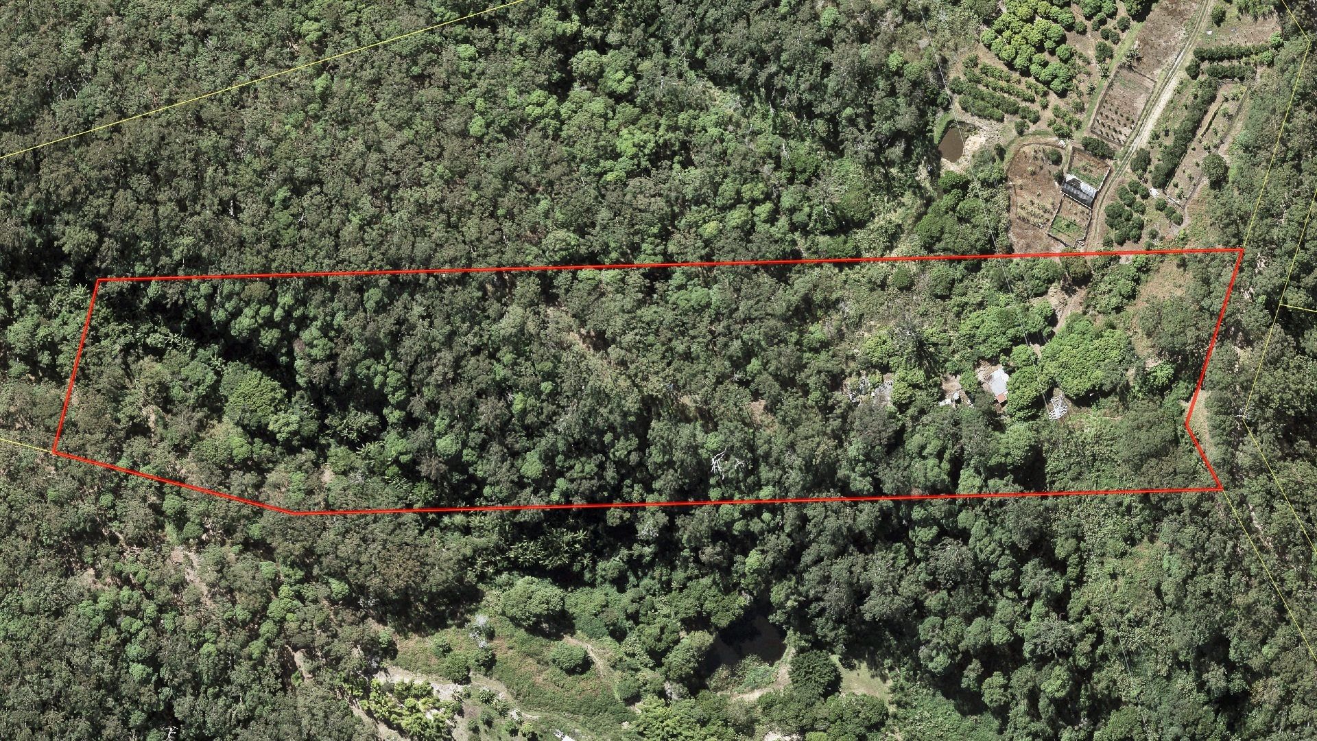 288 Mossybank Rd, Eudlo