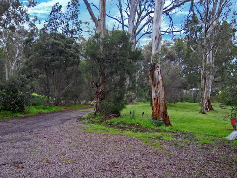 4 Treetop Street, Tea Tree Gully