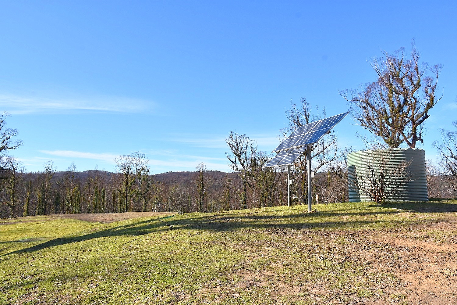 Chris Wilson Real Estate "FRESHWATER FARM"