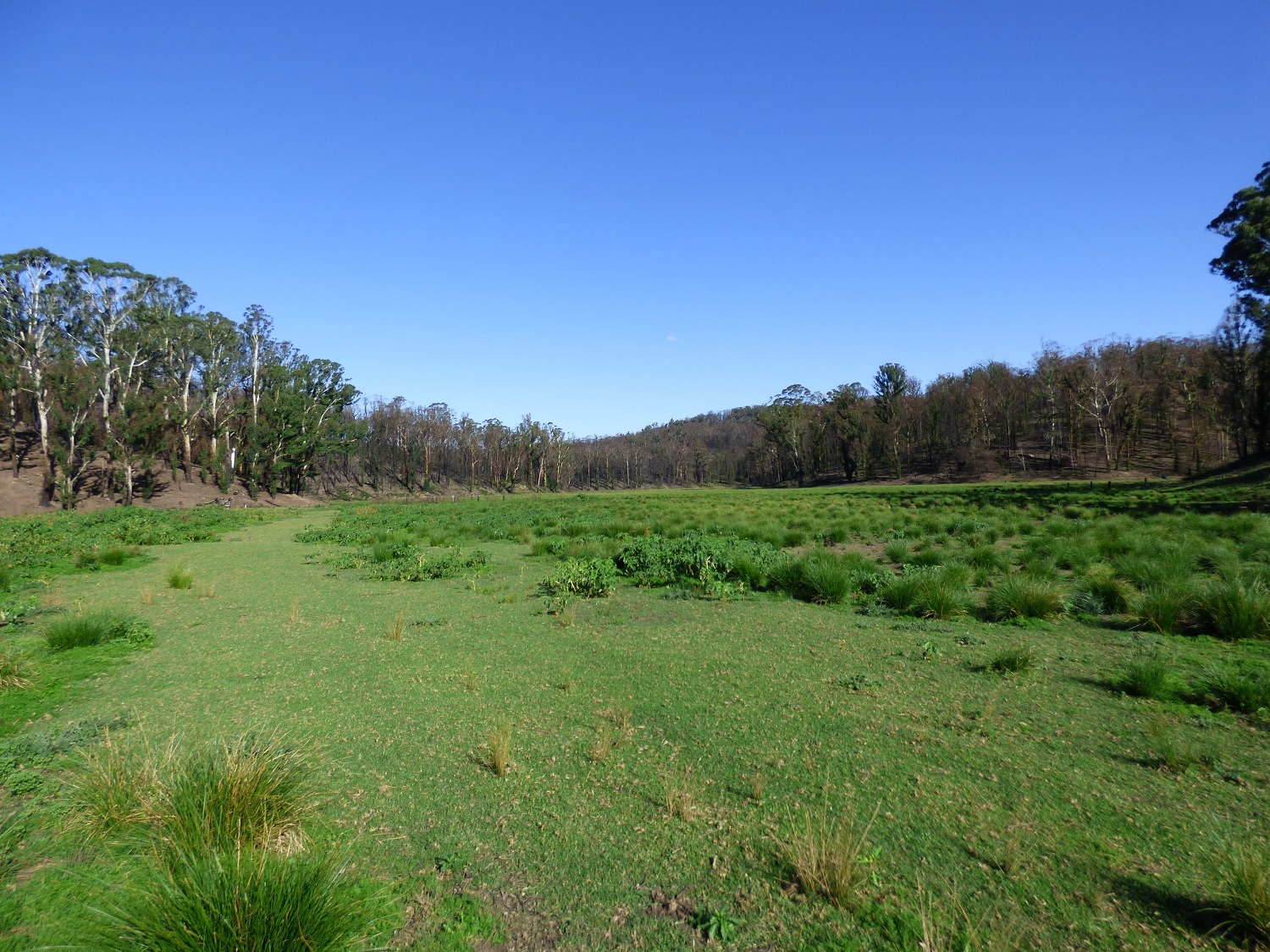 Chris Wilson Real Estate "FRESHWATER FARM"