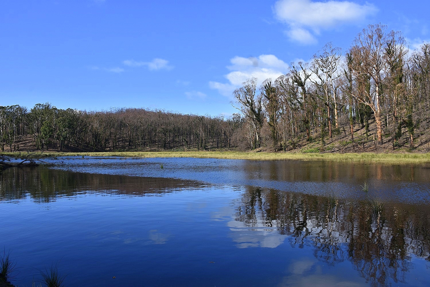 Chris Wilson Real Estate "FRESHWATER FARM"