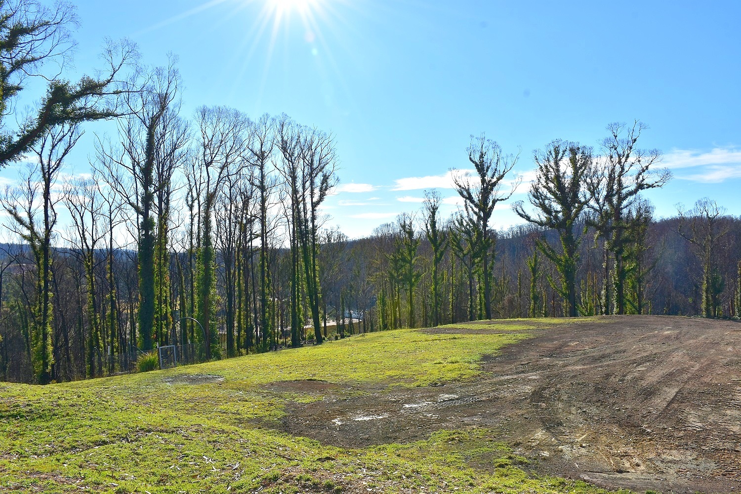 Chris Wilson Real Estate "FRESHWATER FARM"