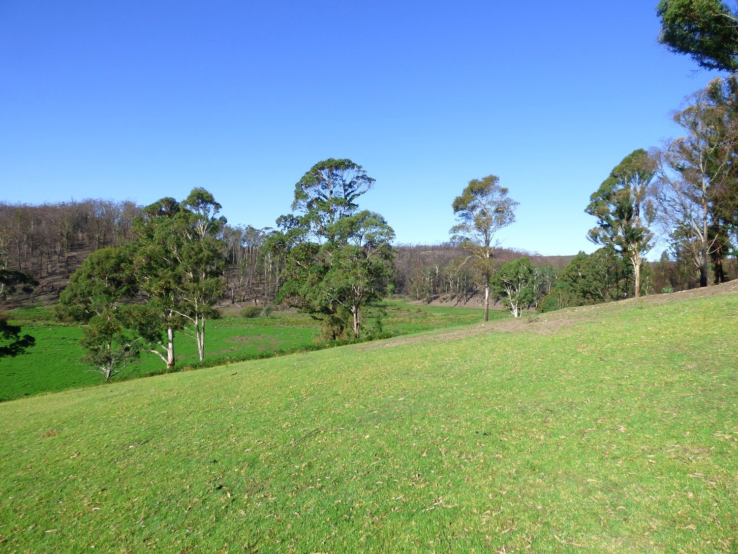 Chris Wilson Real Estate "FRESHWATER FARM"