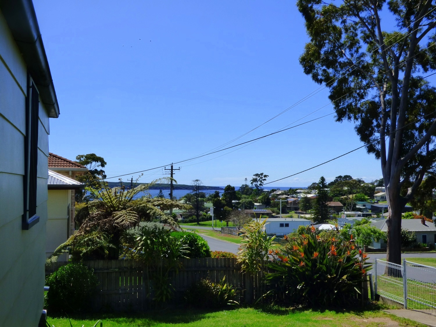 Chris Wilson Real Estate TRUE BLUE UNDER CONTRACT