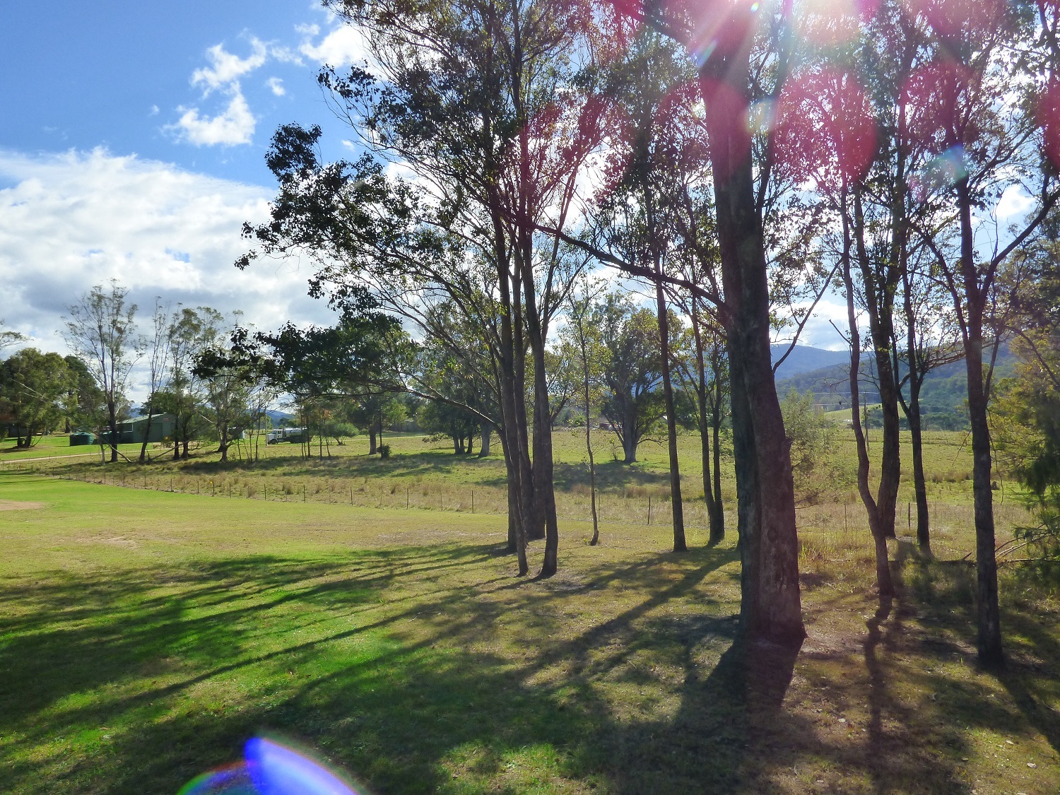 Chris Wilson Real Estate JOLLY GOOD BLOCK