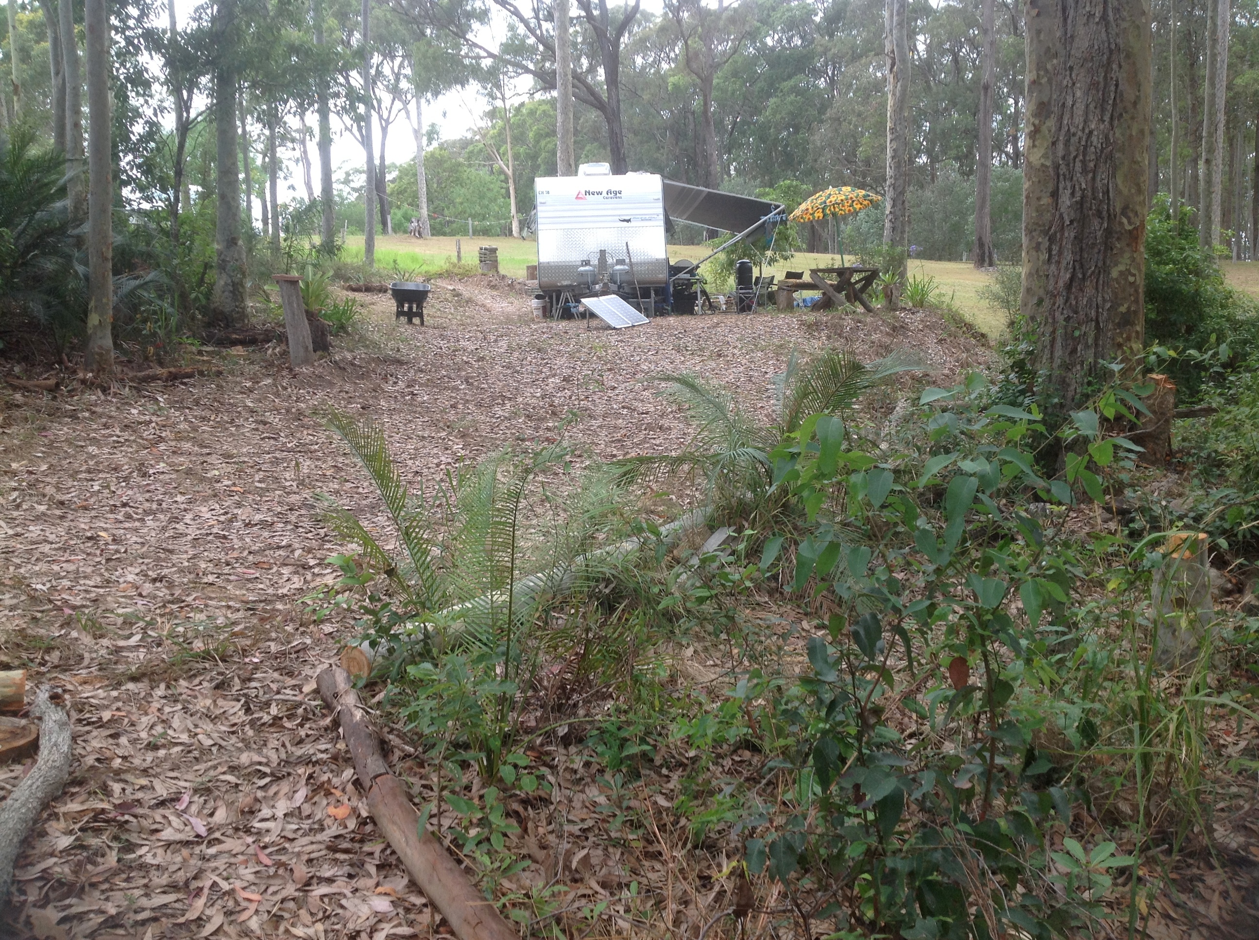 Clearwater Real Estate Gentle Sloping 4229m2 Close to Narooma