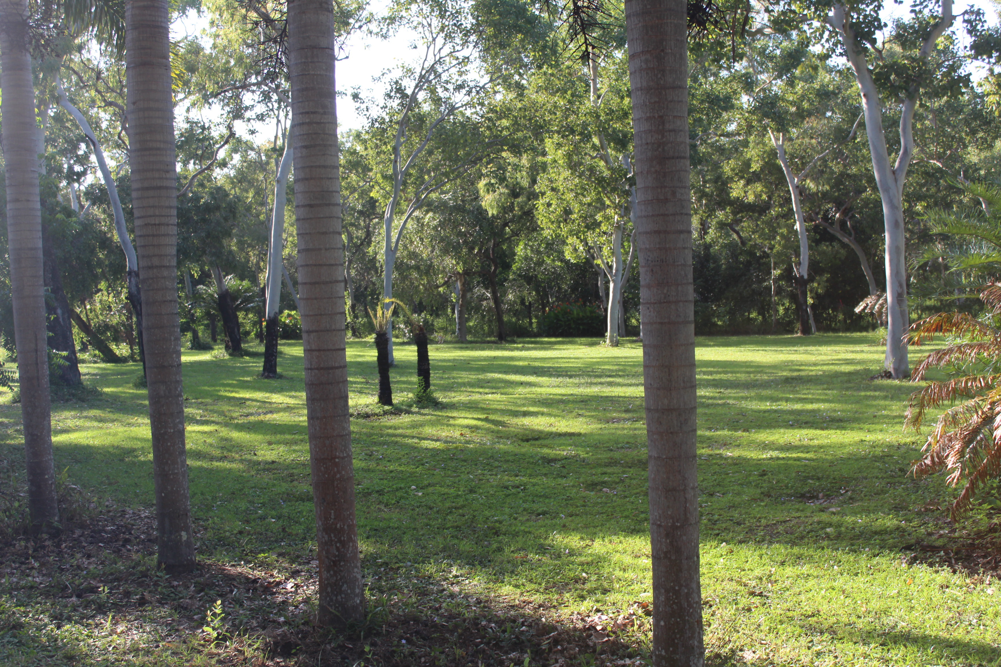 Rural home with 5 bay shed Cooktown Platinum Realty
