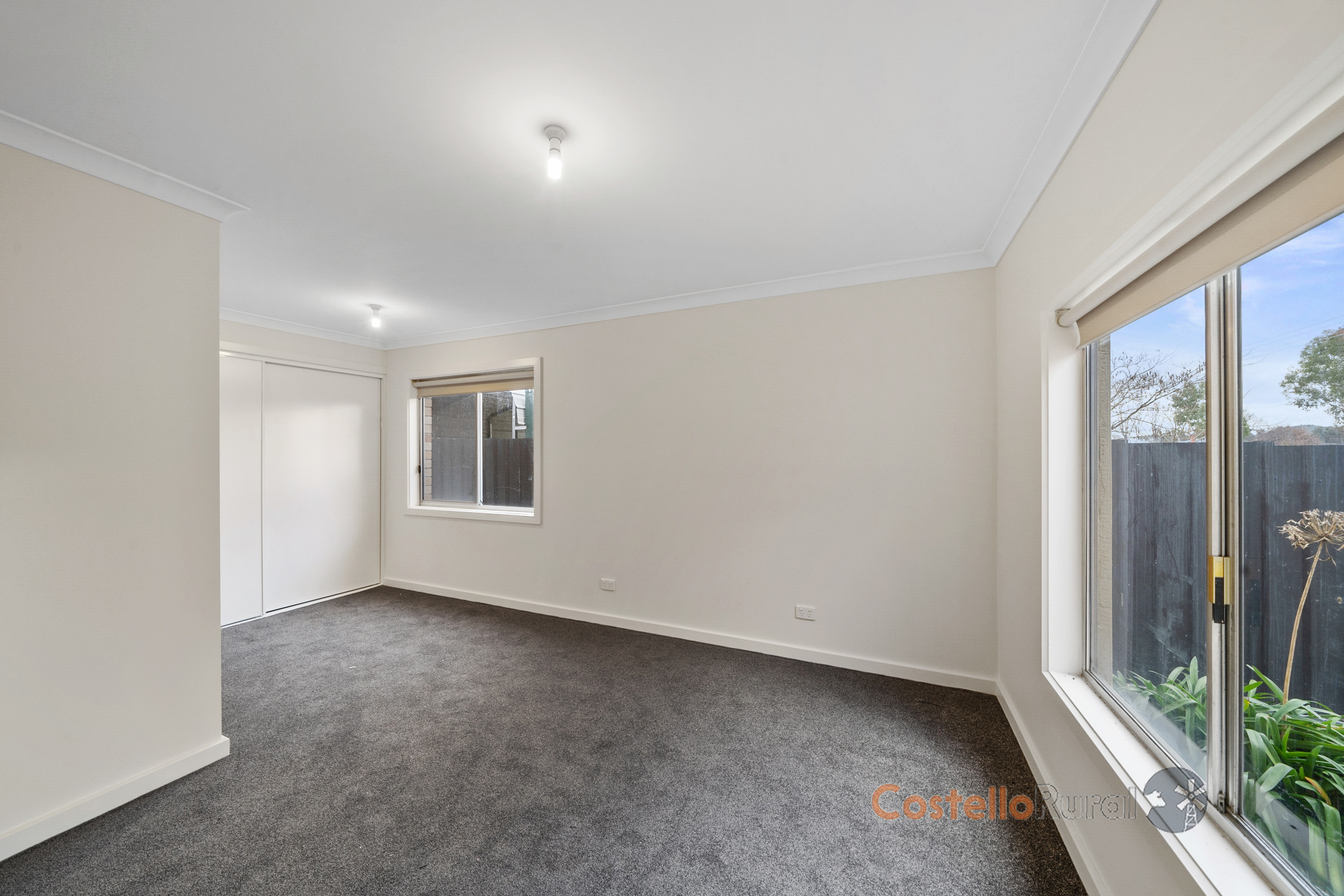 Costello Rural Renovated Rental!