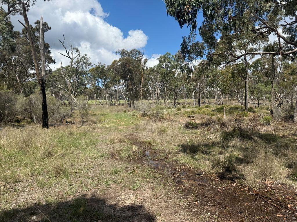 20 Philpott Lane, Greenlands For Sale by Farmbuy.com - image 32
