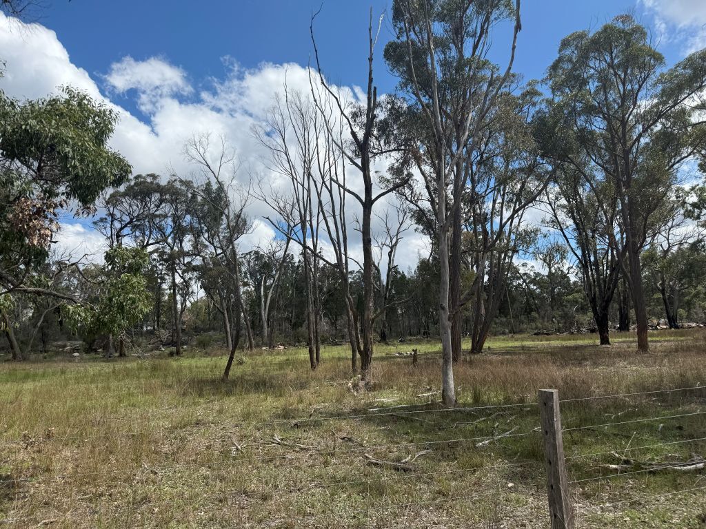 20 Philpott Lane, Greenlands For Sale by Farmbuy.com - image 34