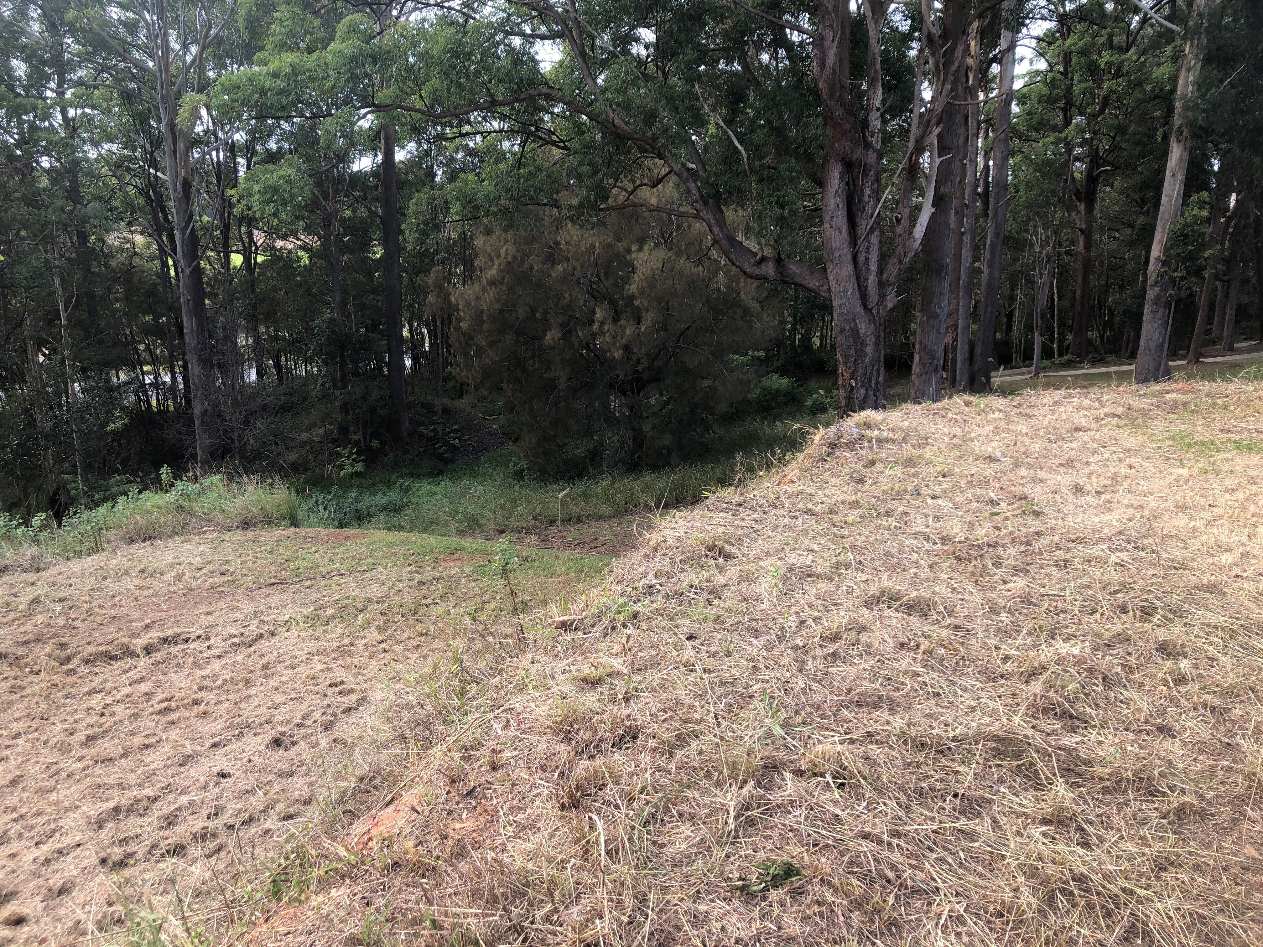 Coffs Coast Real Estate SALE Coffs Harbour Coast Region Lot 34