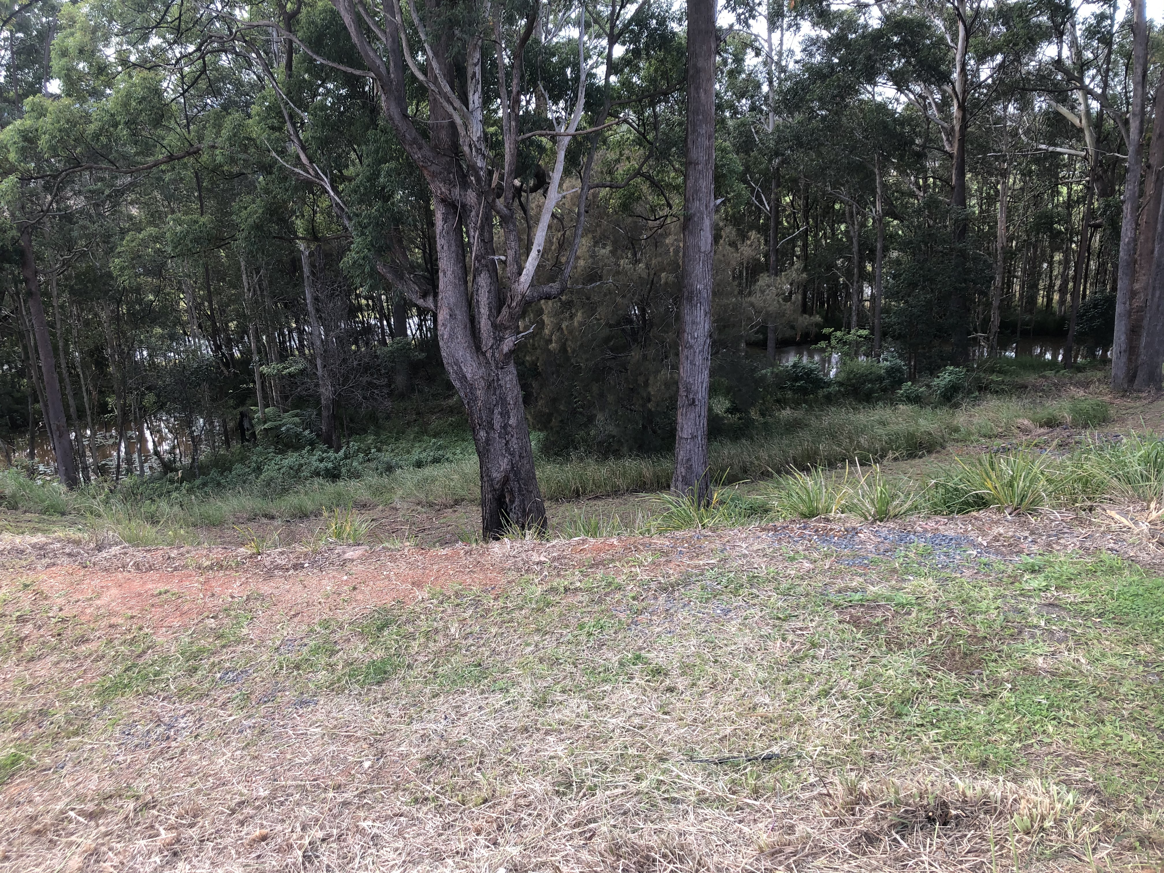 Coffs Coast Real Estate SALE Coffs Harbour Coast Region Lot 34