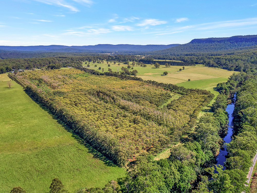 Coffs Coast Real Estate SALE Coffs Harbour Coast Region River