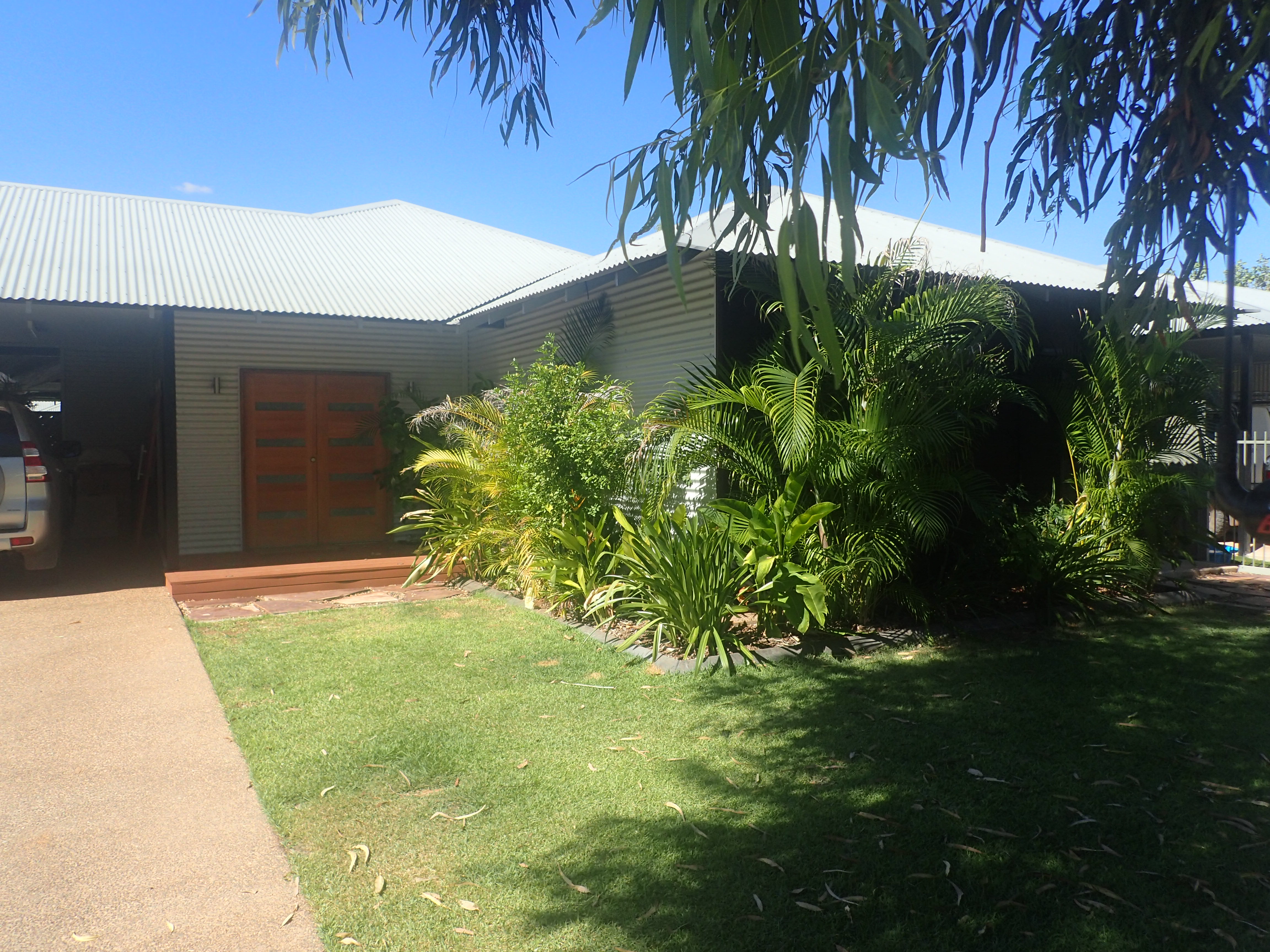 19 Zamia Link