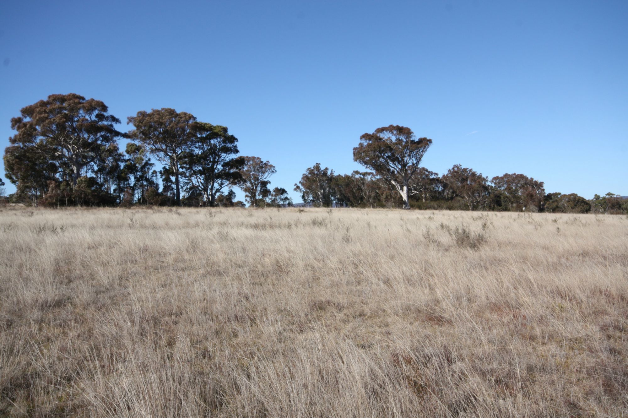 Rural block priced to sell. EstateRealty