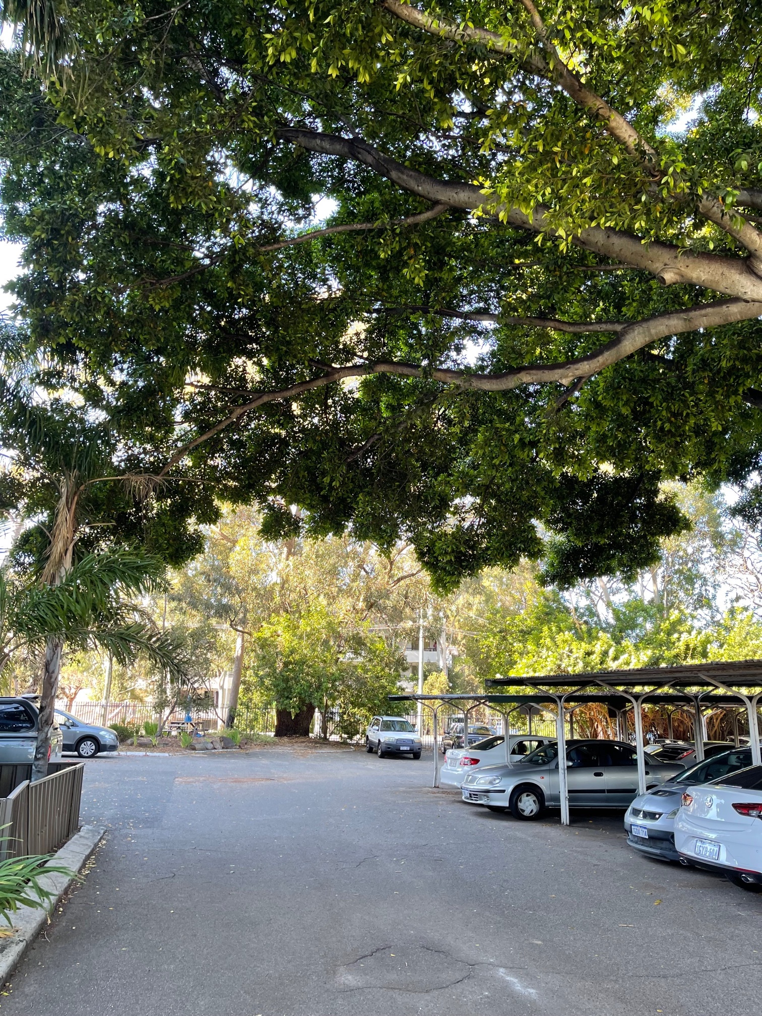 Firstland Real Estate Perfect for Nester or Investor!