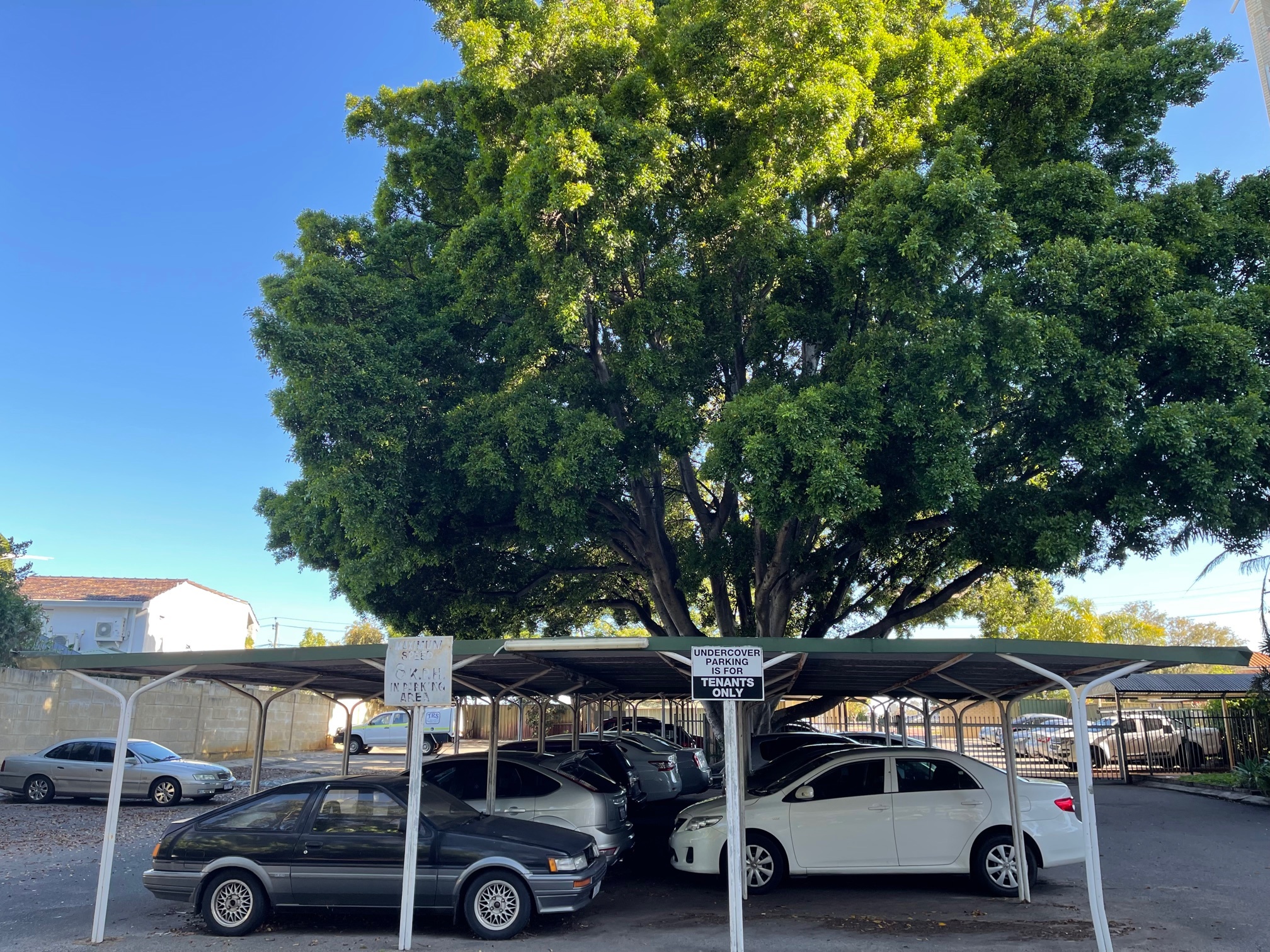 Firstland Real Estate Perfect for Nester or Investor!