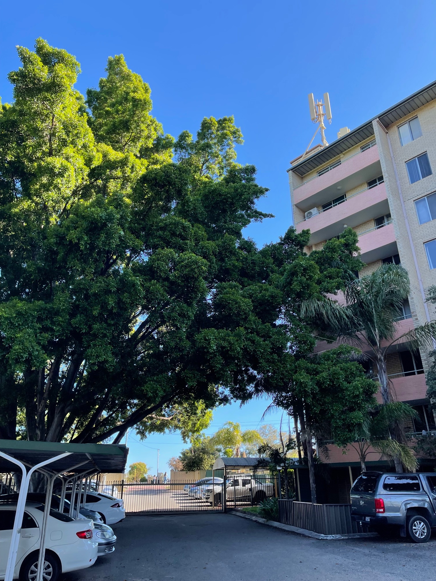 Firstland Real Estate Perfect for Nester or Investor!