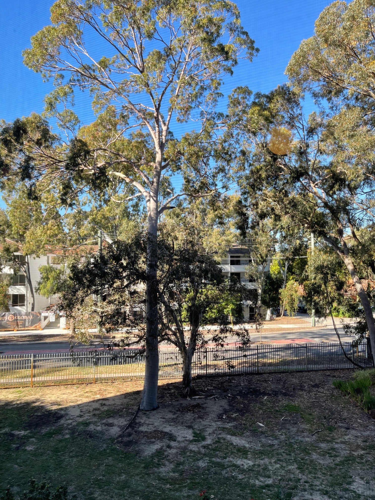 Firstland Real Estate Perfect for Nester or Investor!