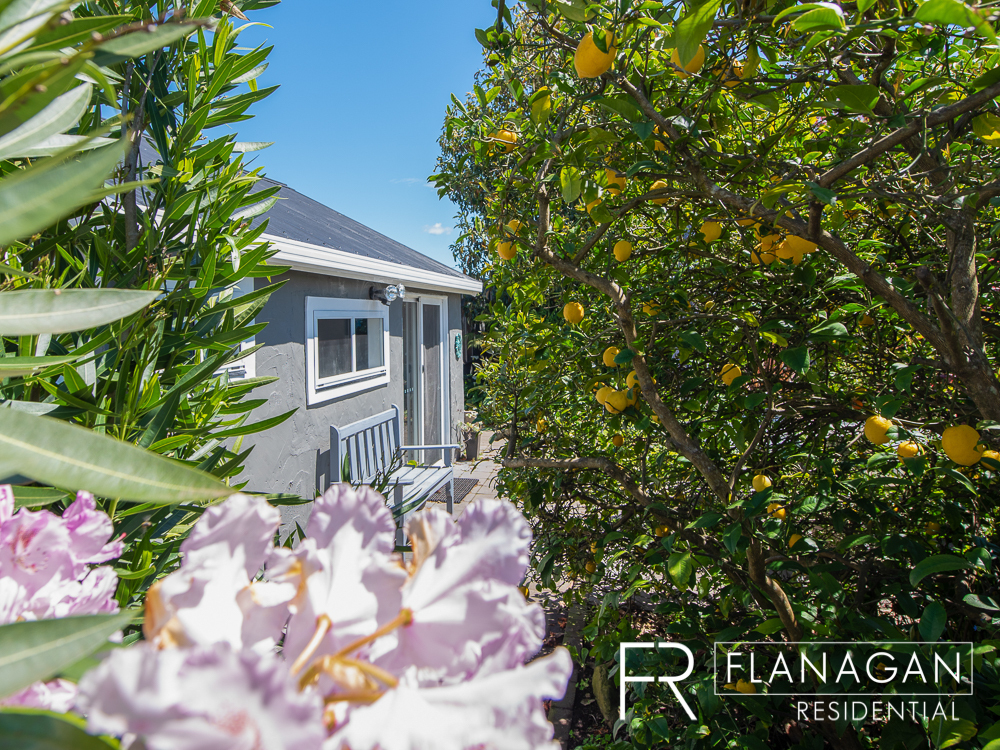 For Sale | Flanagan Residential | Paul Flanagan | Trevallyn