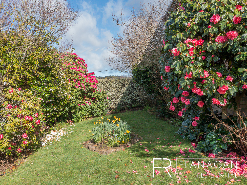 For Sale | Flanagan Residential | Paul Flanagan | Trevallyn